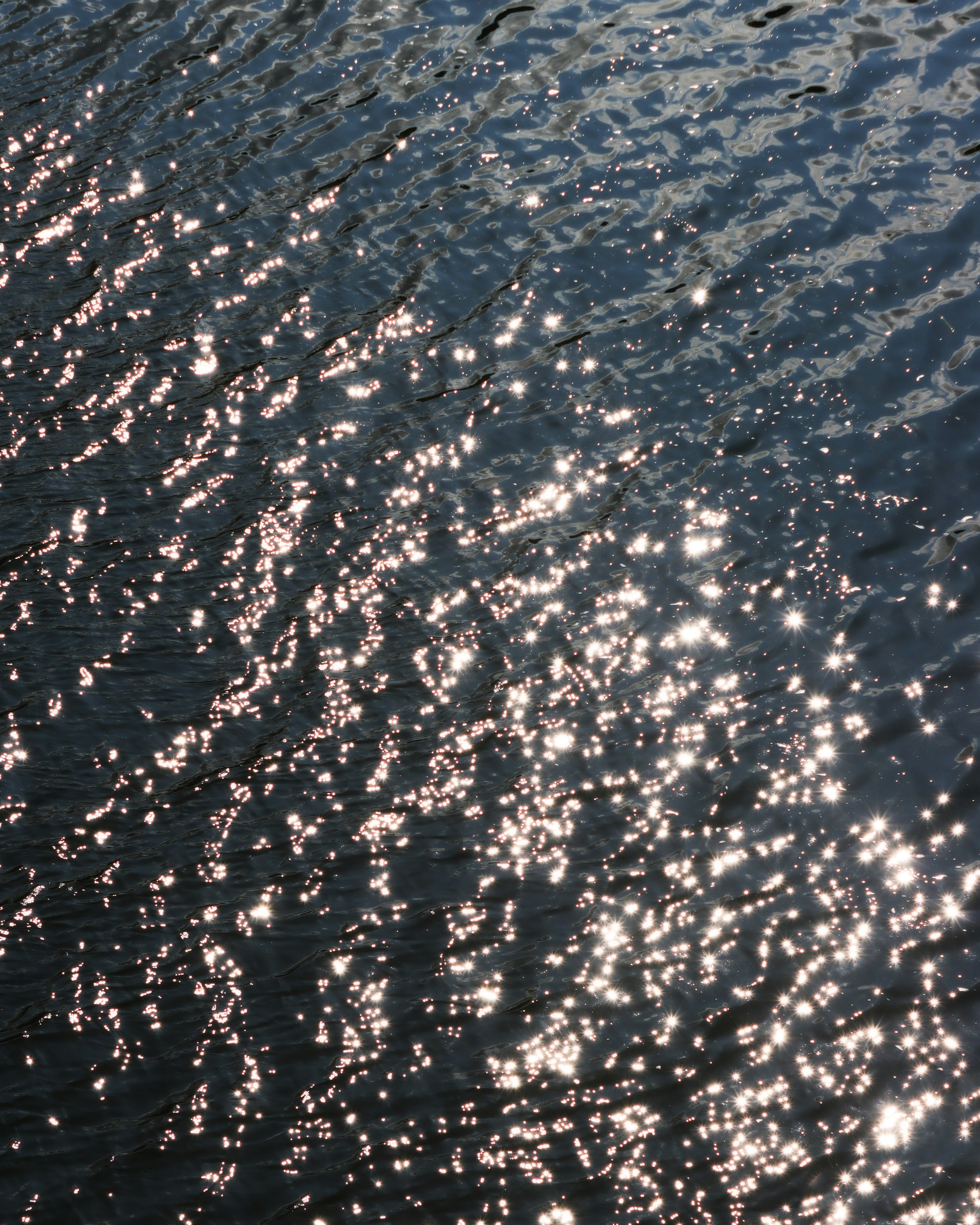 Photo by ishxmphotos