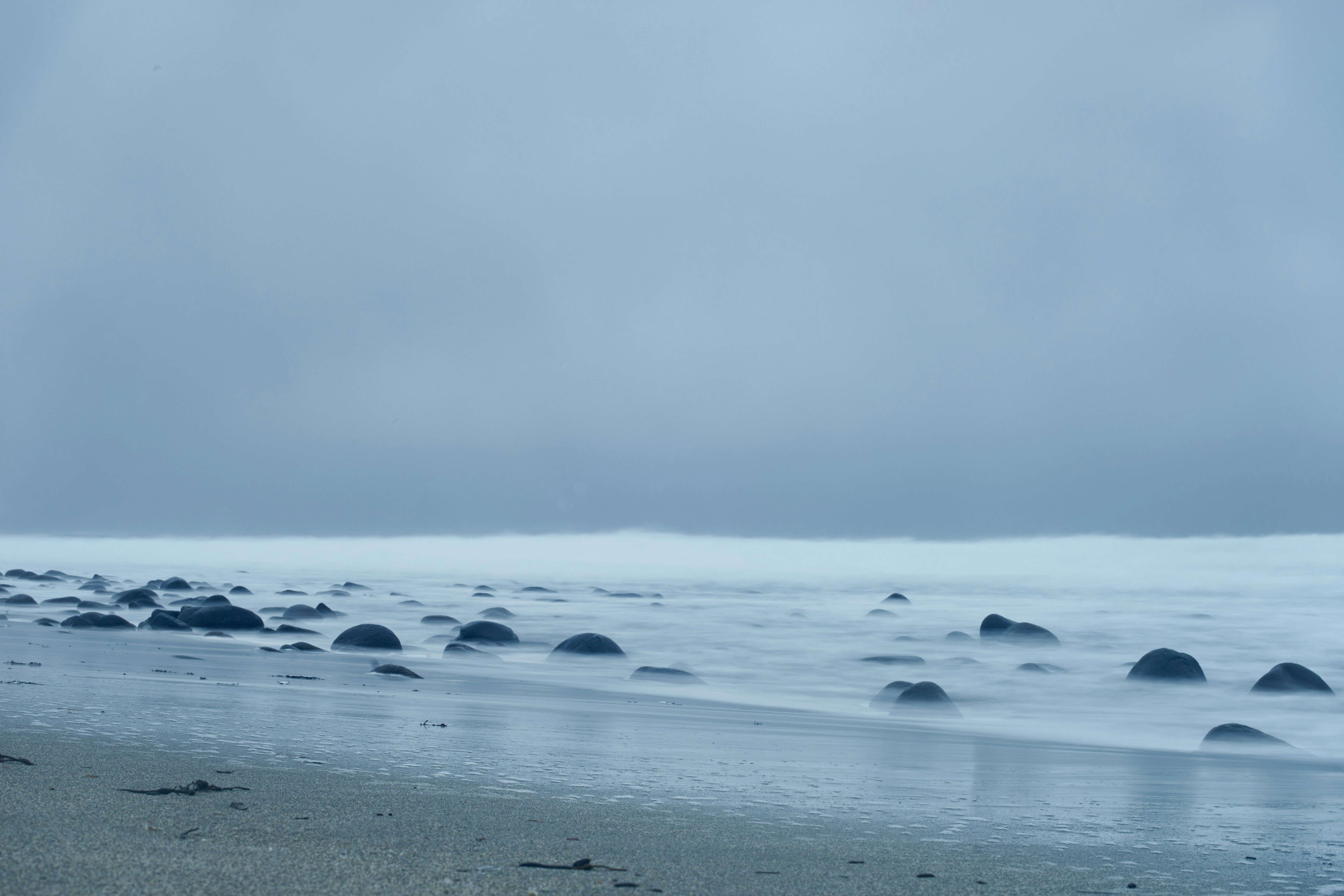 Photo by wolfgang_hasselmann