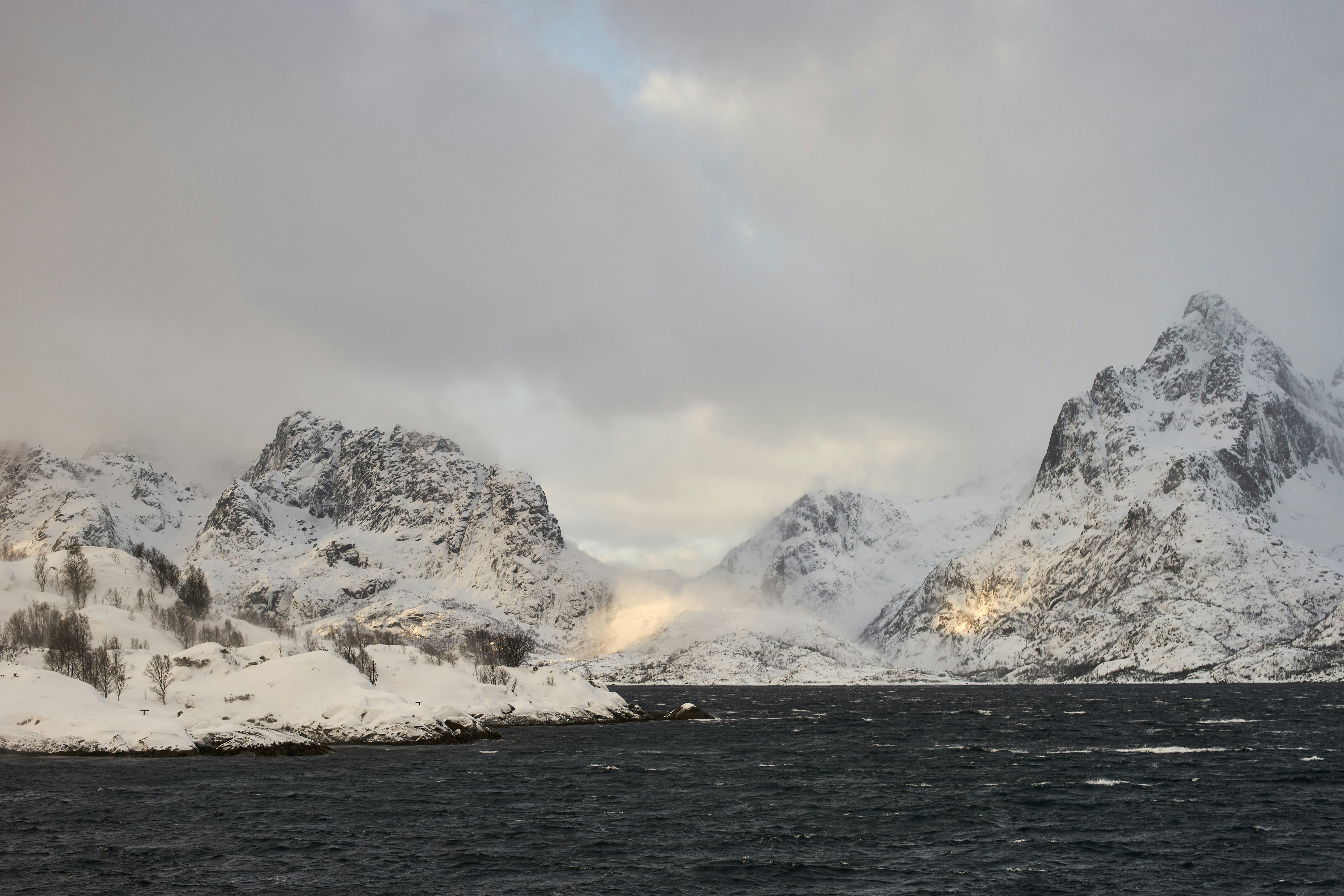 Photo by wolfgang_hasselmann