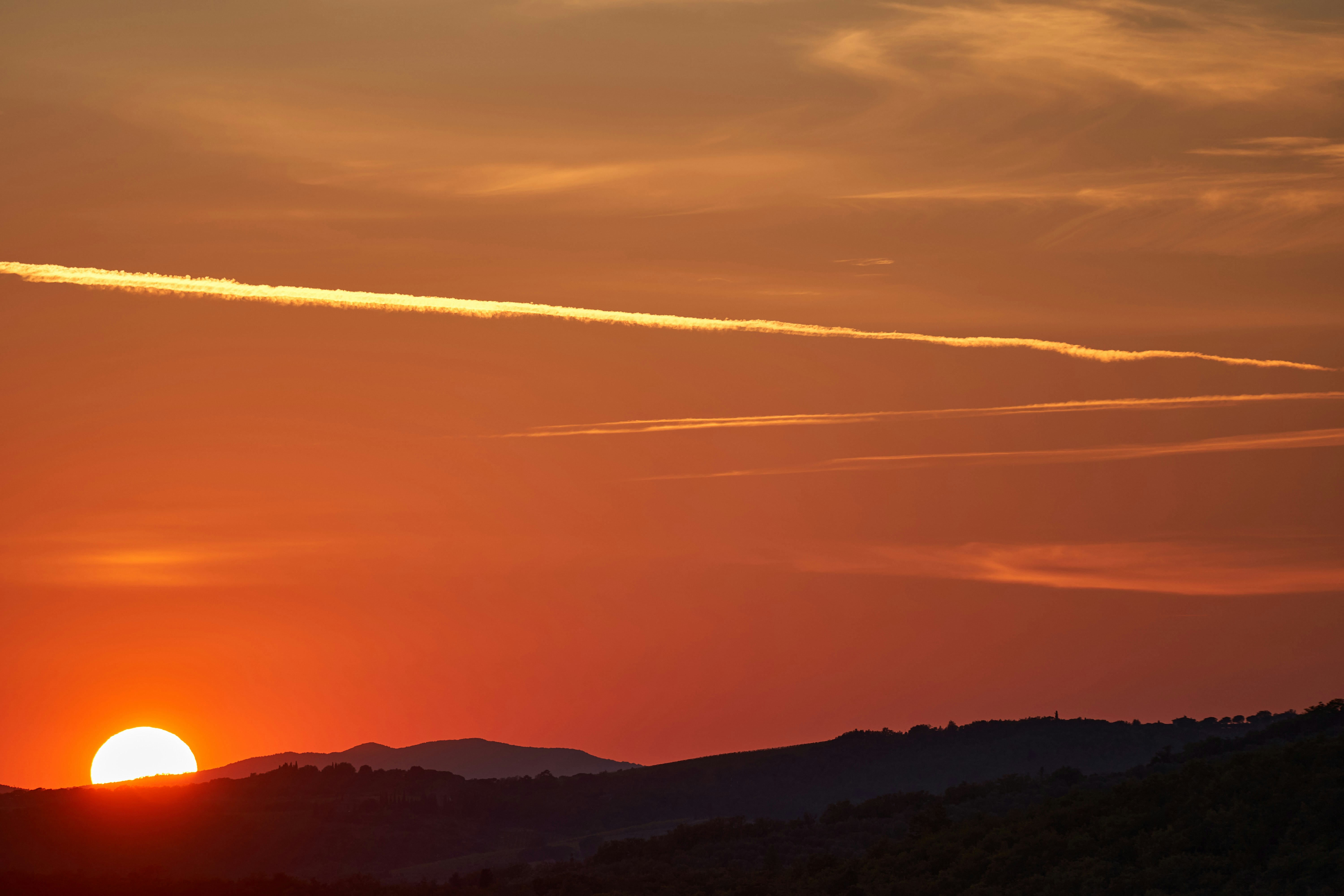 Photo by wolfgang_hasselmann