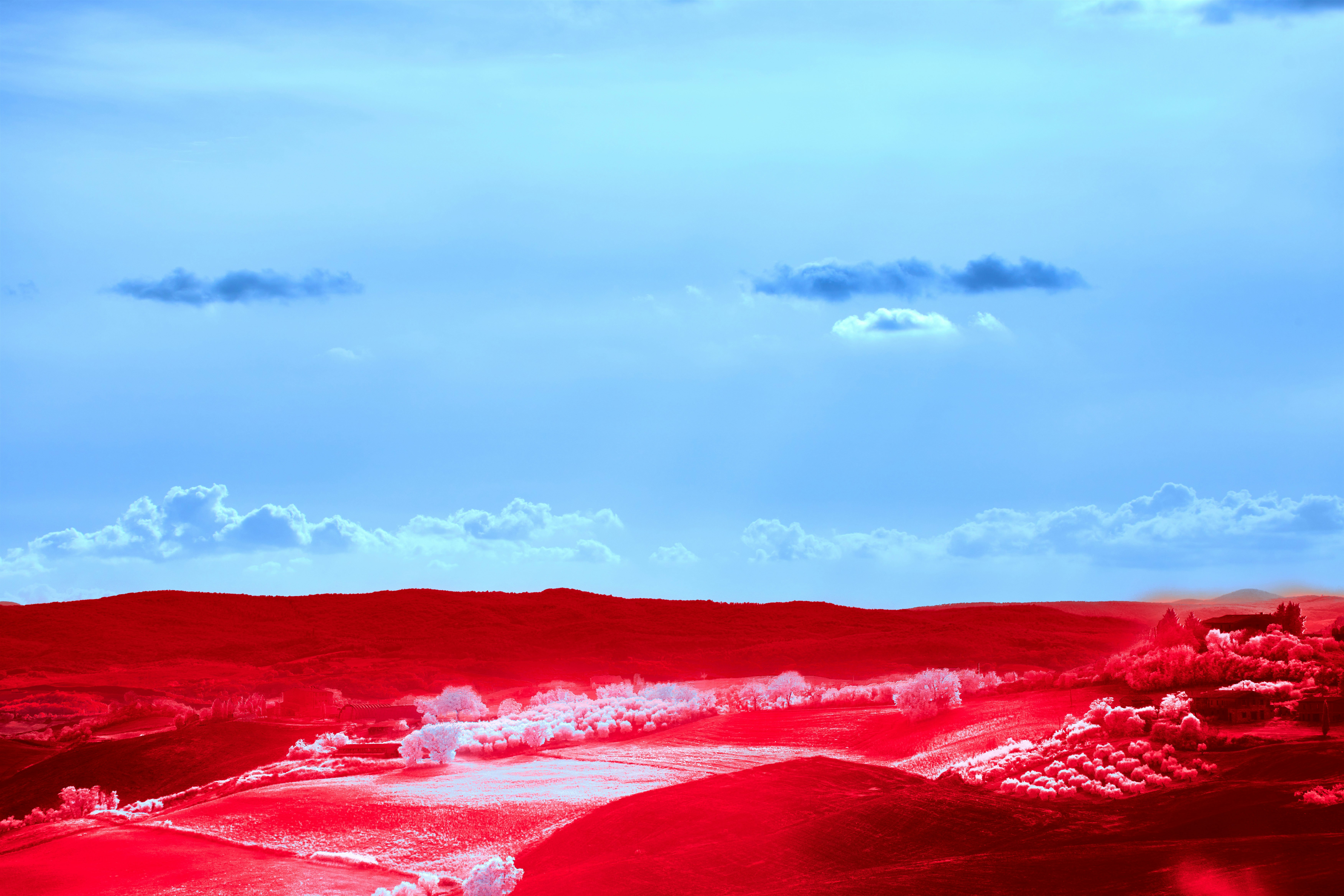 Photo by wolfgang_hasselmann