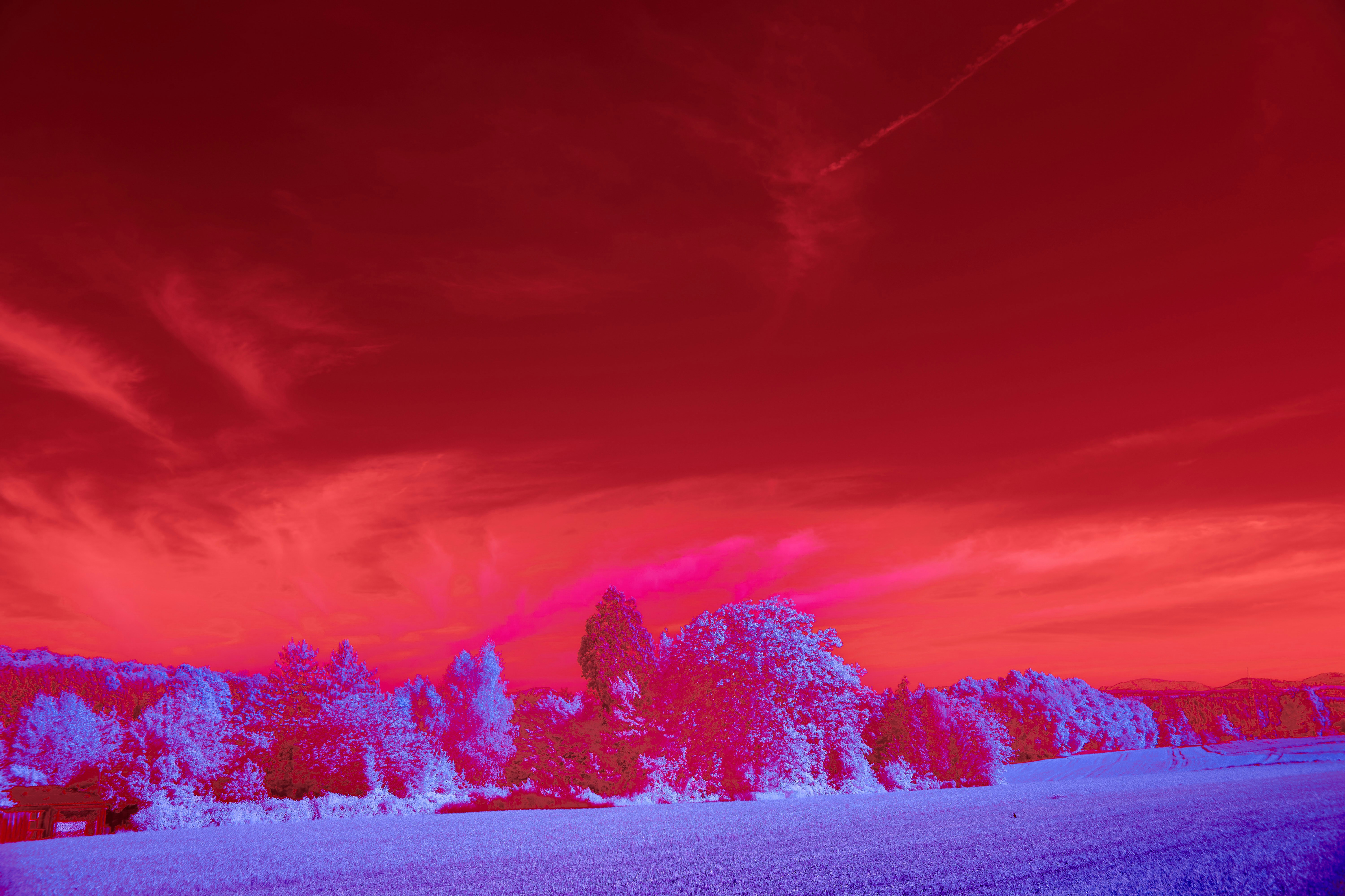 Photo by wolfgang_hasselmann