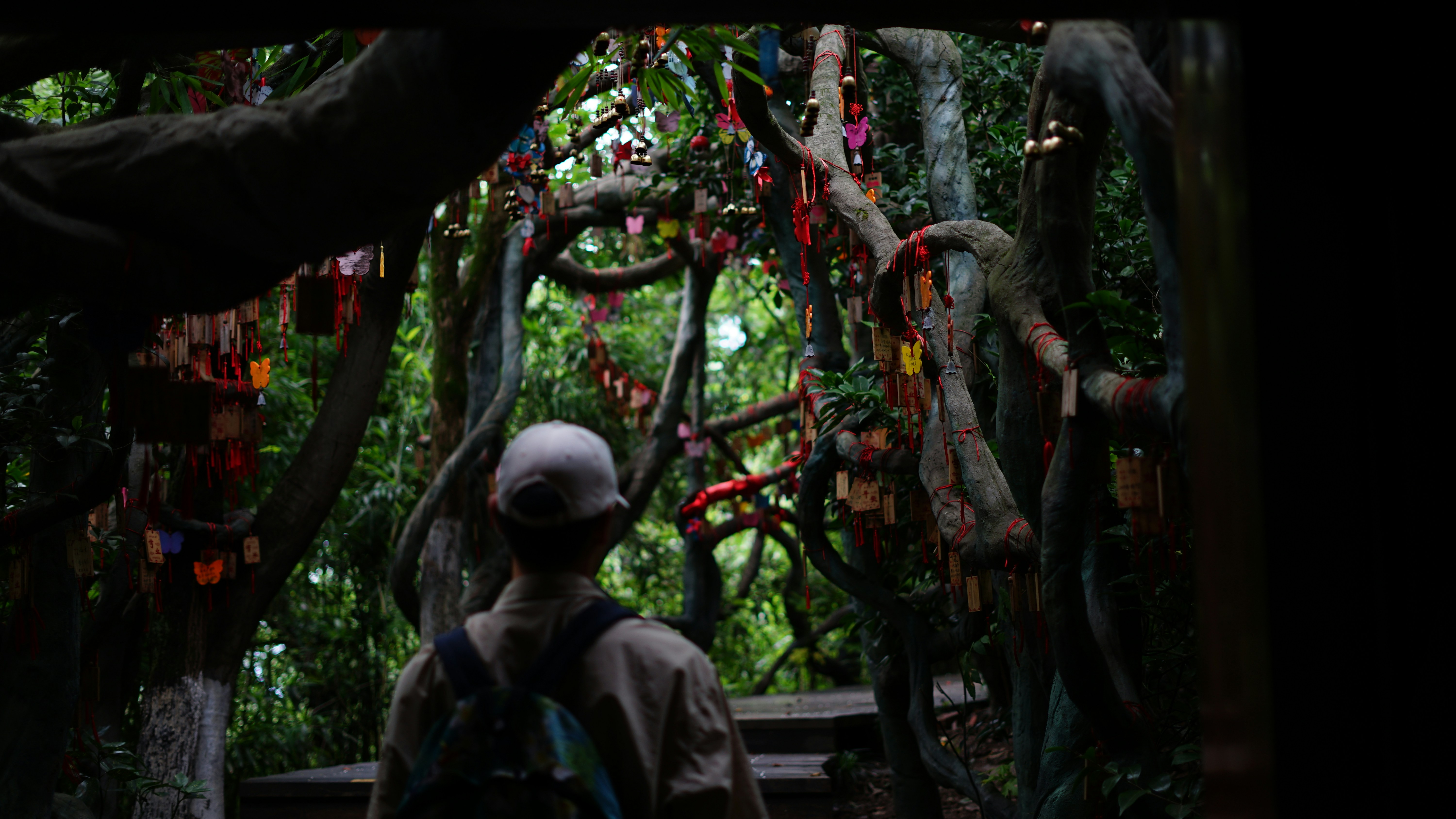 Person looks at a tree with hanging colorful ribbons.