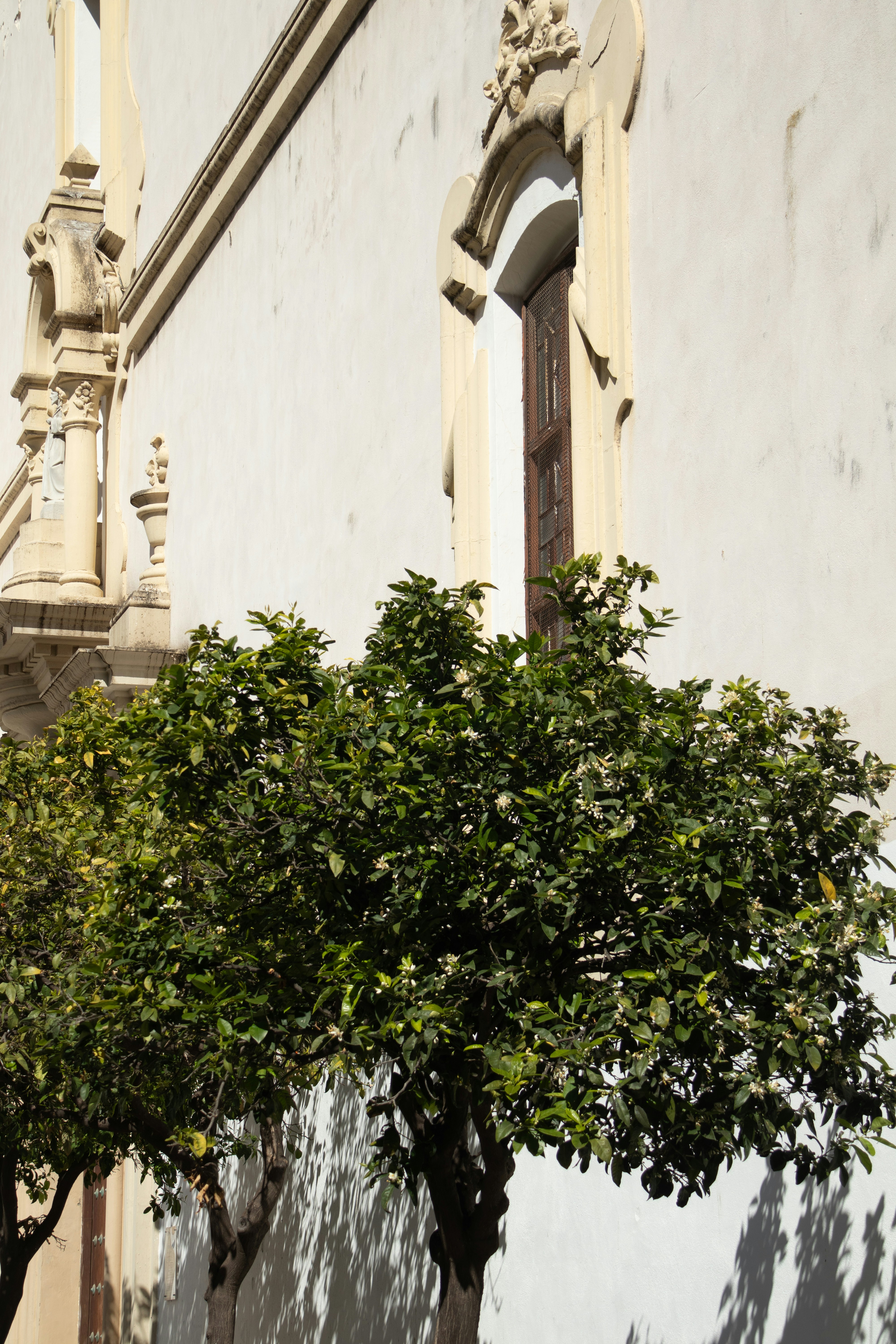 Photo by woomantsing