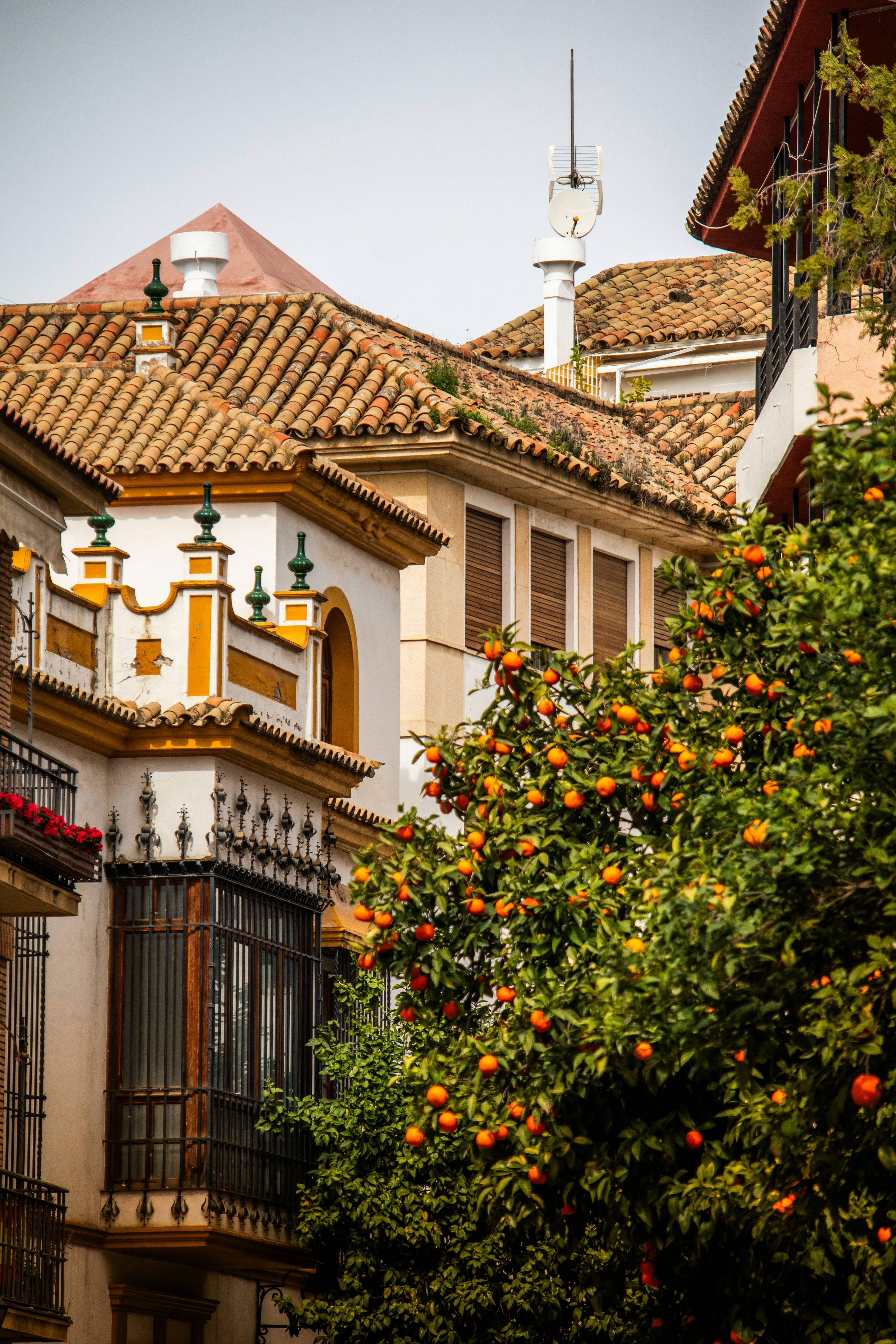 Photo by woomantsing