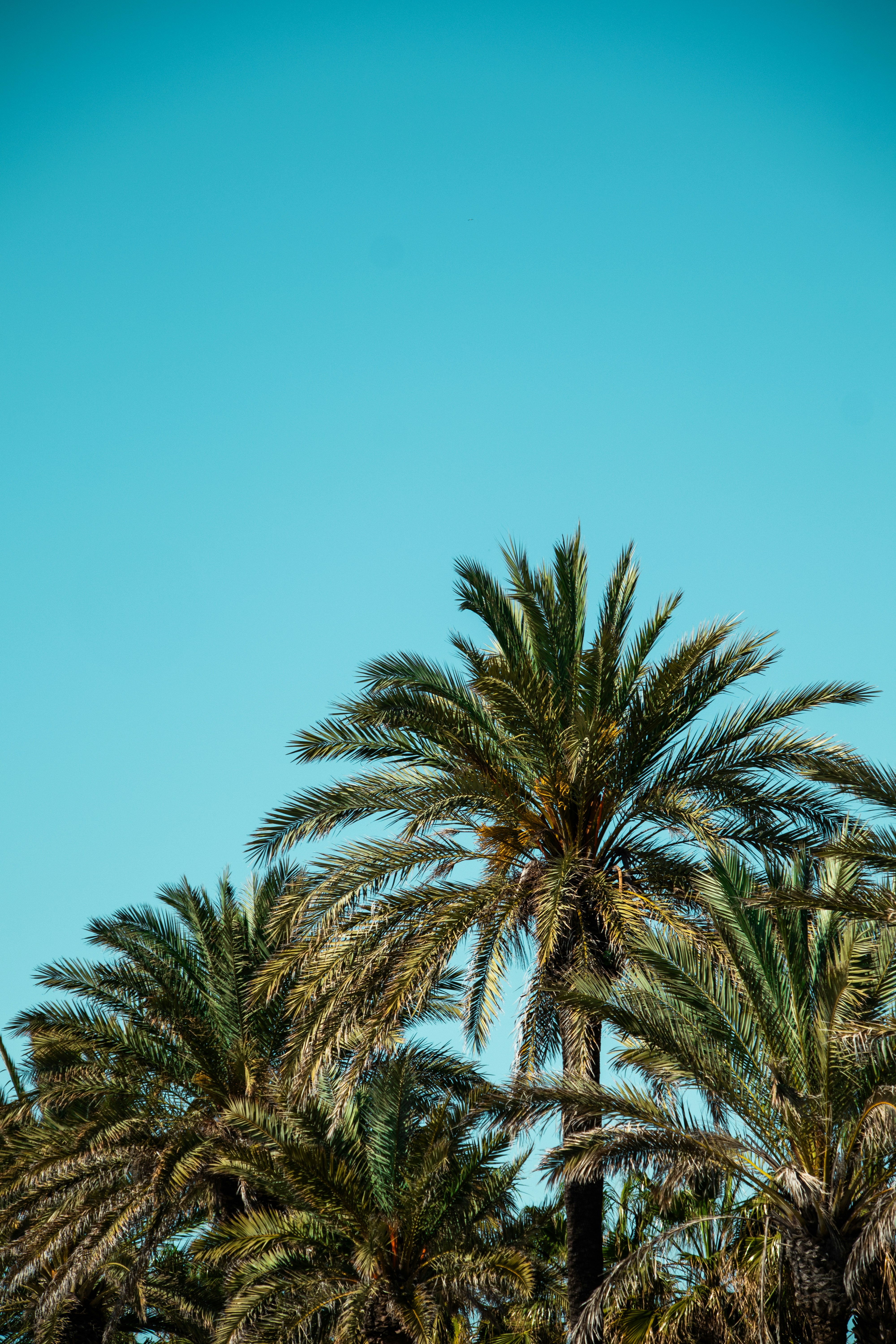 Photo by woomantsing