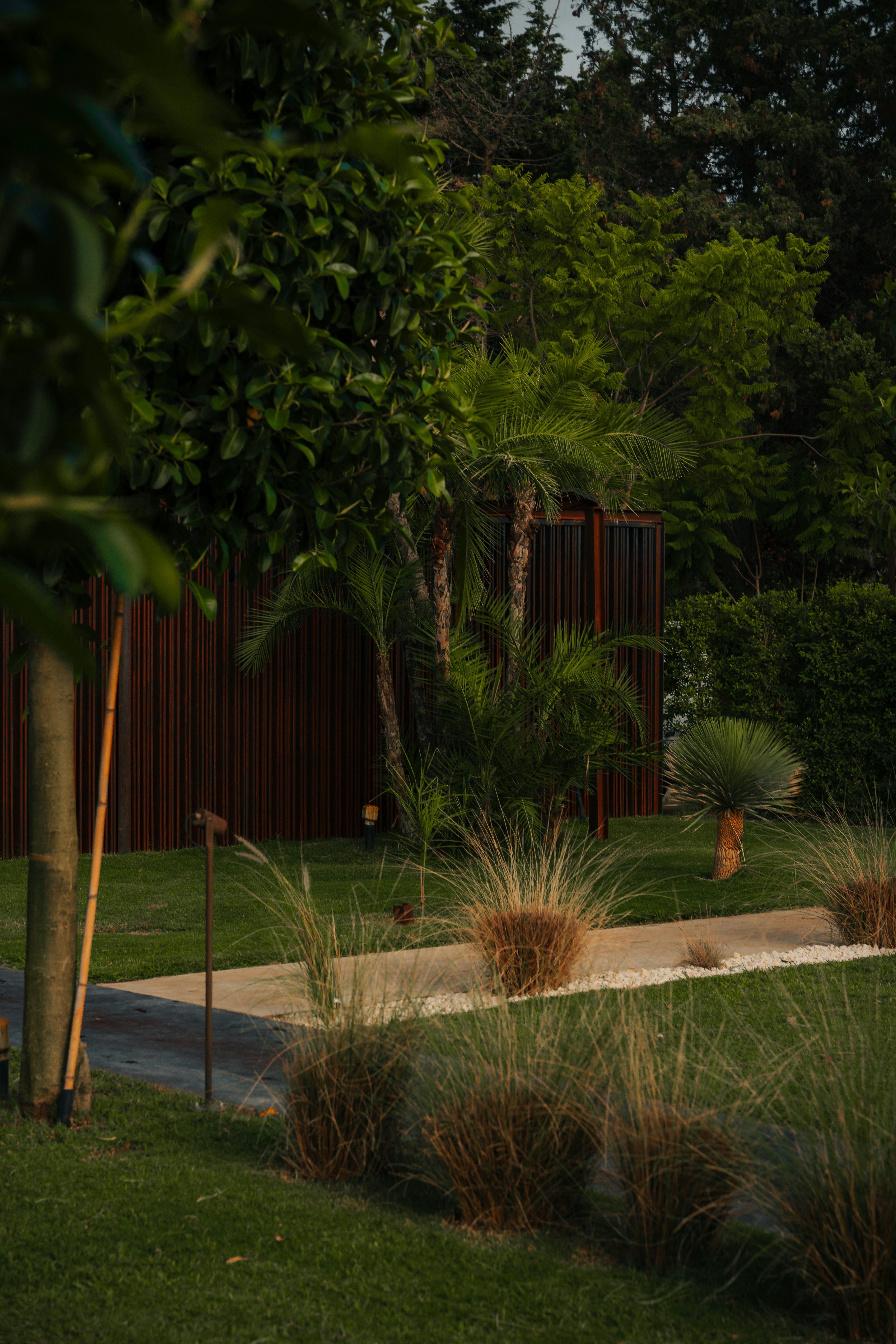 Giardino verde con palme e un edificio rustico.