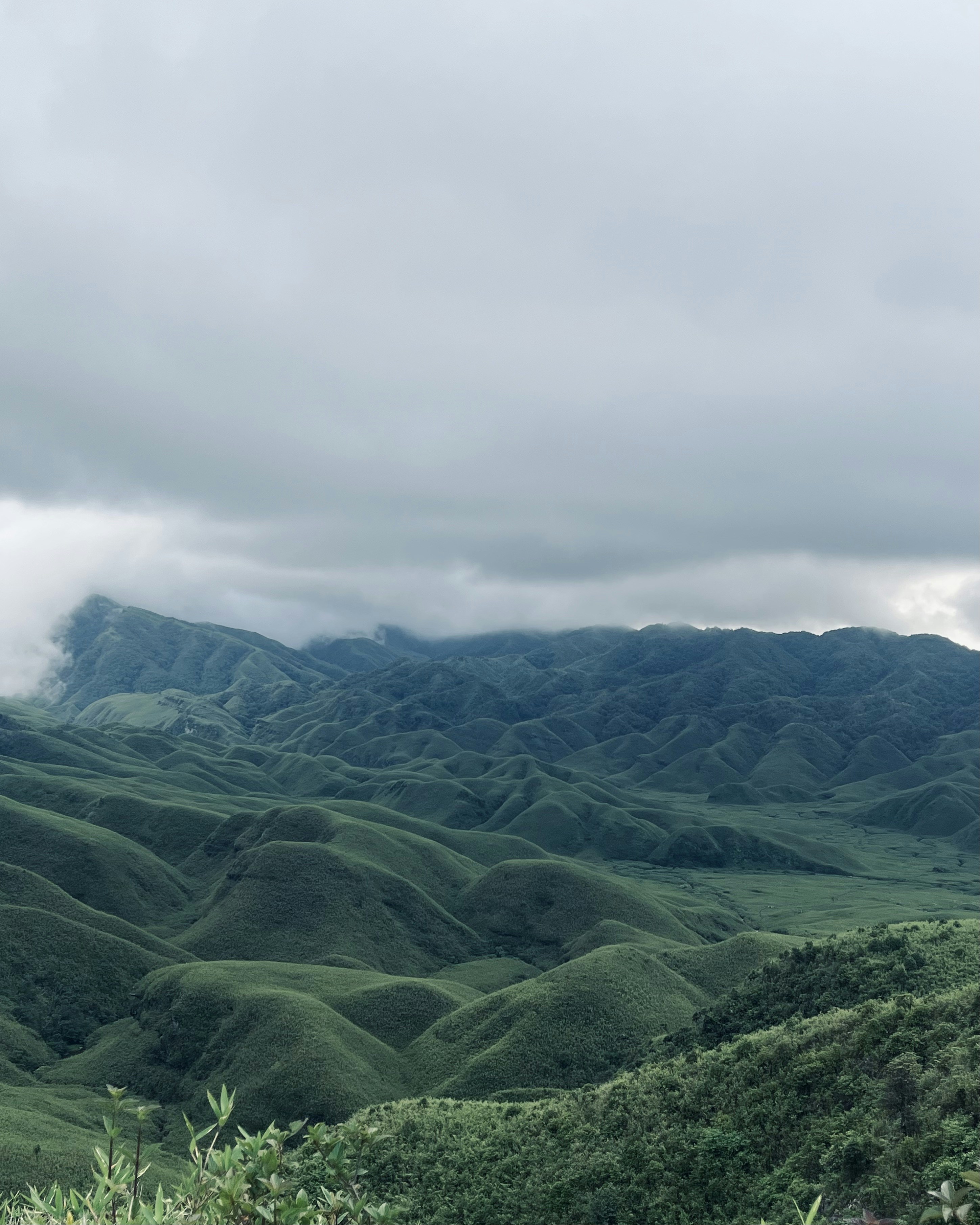 Photo by Vishwasa Navada K