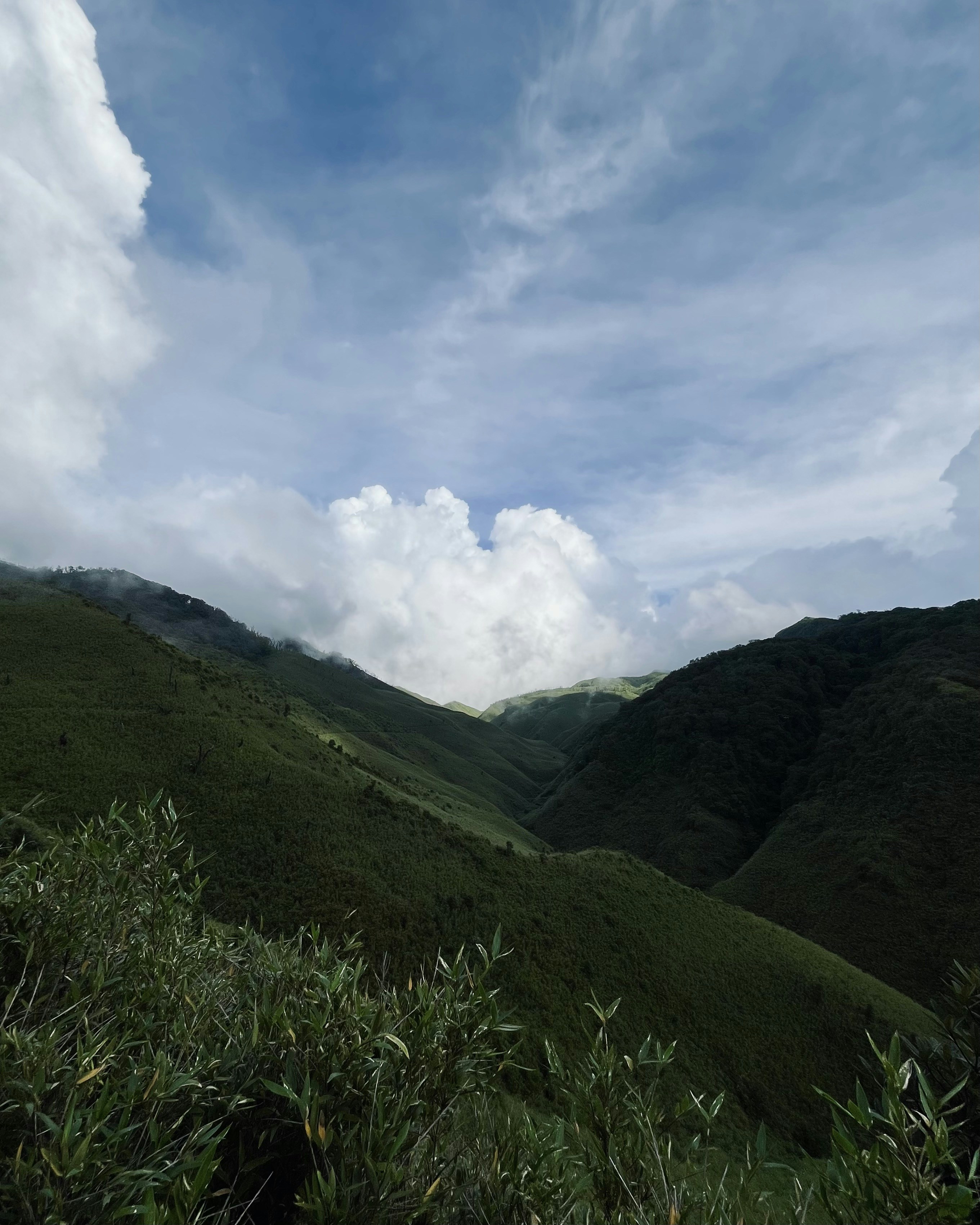 Photo by Vishwasa Navada K