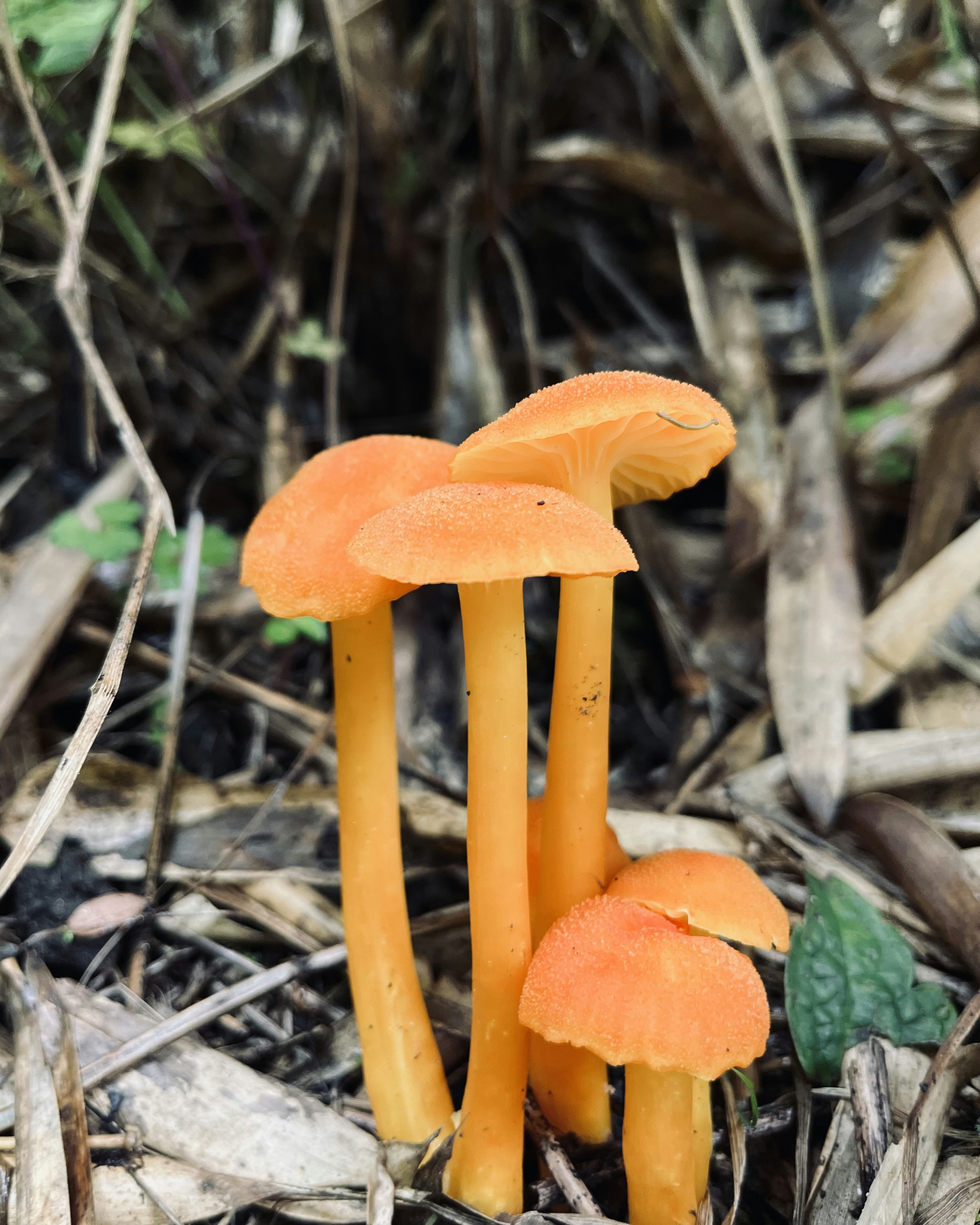 Photo by Vishwasa Navada K