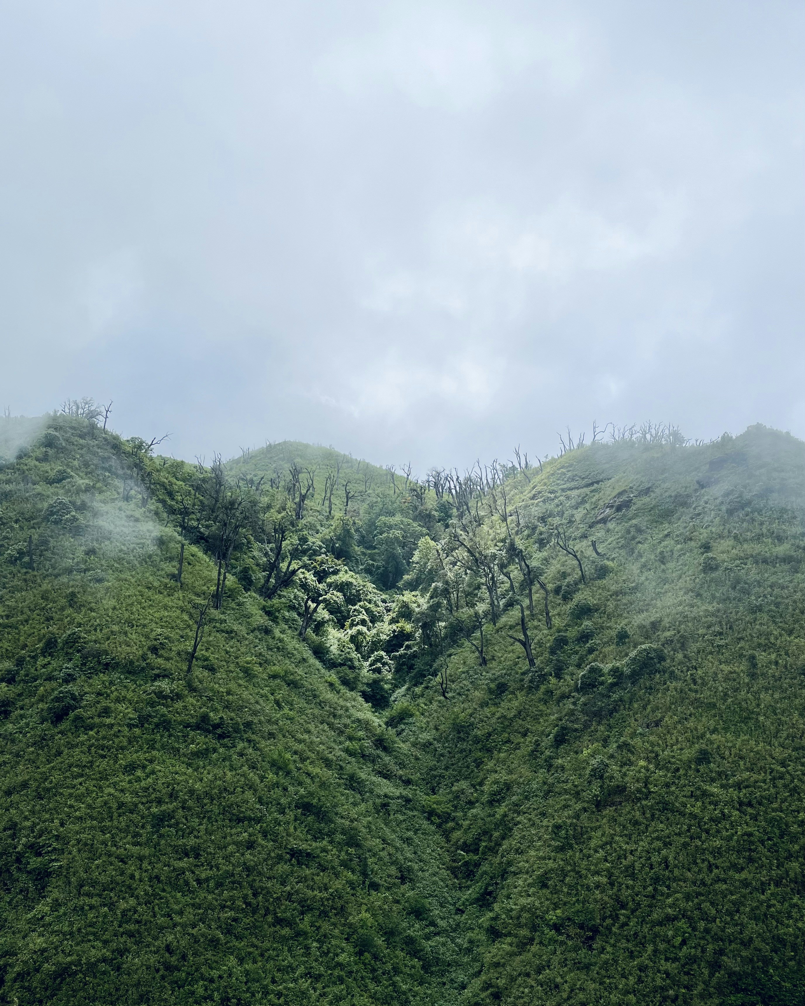 Photo by Vishwasa Navada K