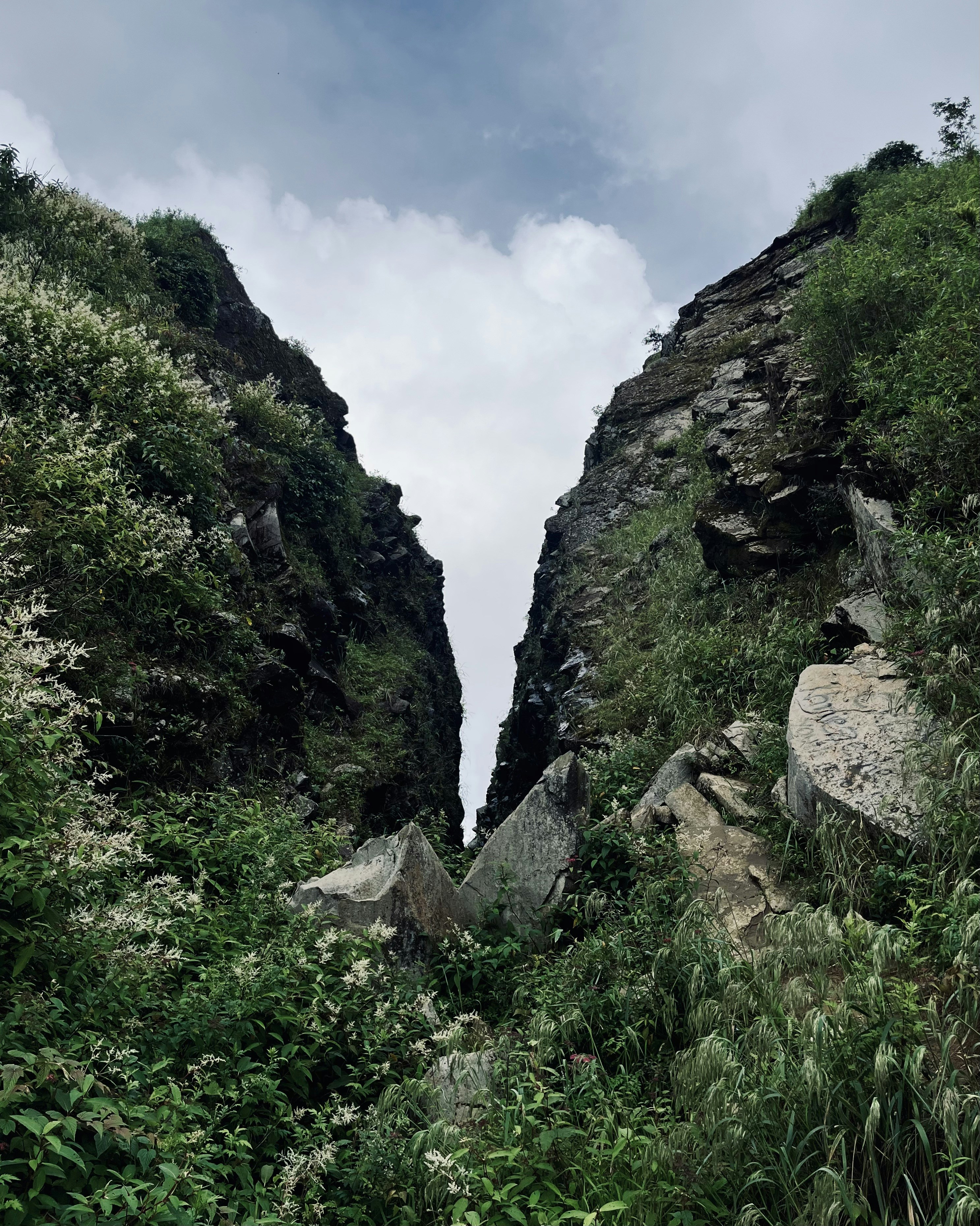 Photo by Vishwasa Navada K