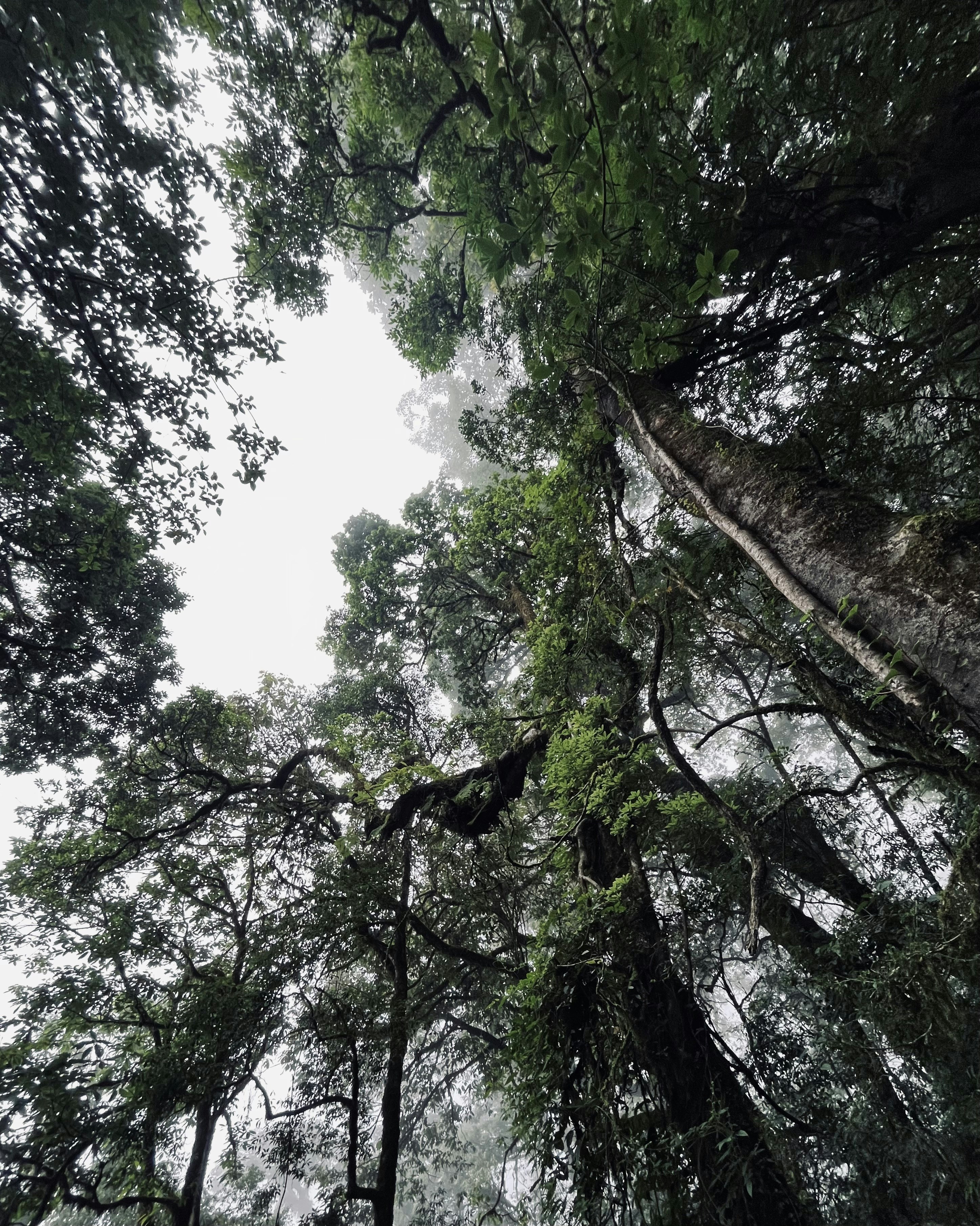 Photo by Vishwasa Navada K