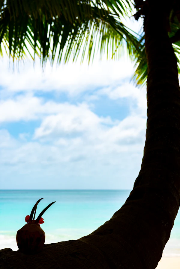 Seychelles Three-Island Hop