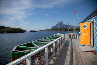 A boat dock with a mountain in the background.