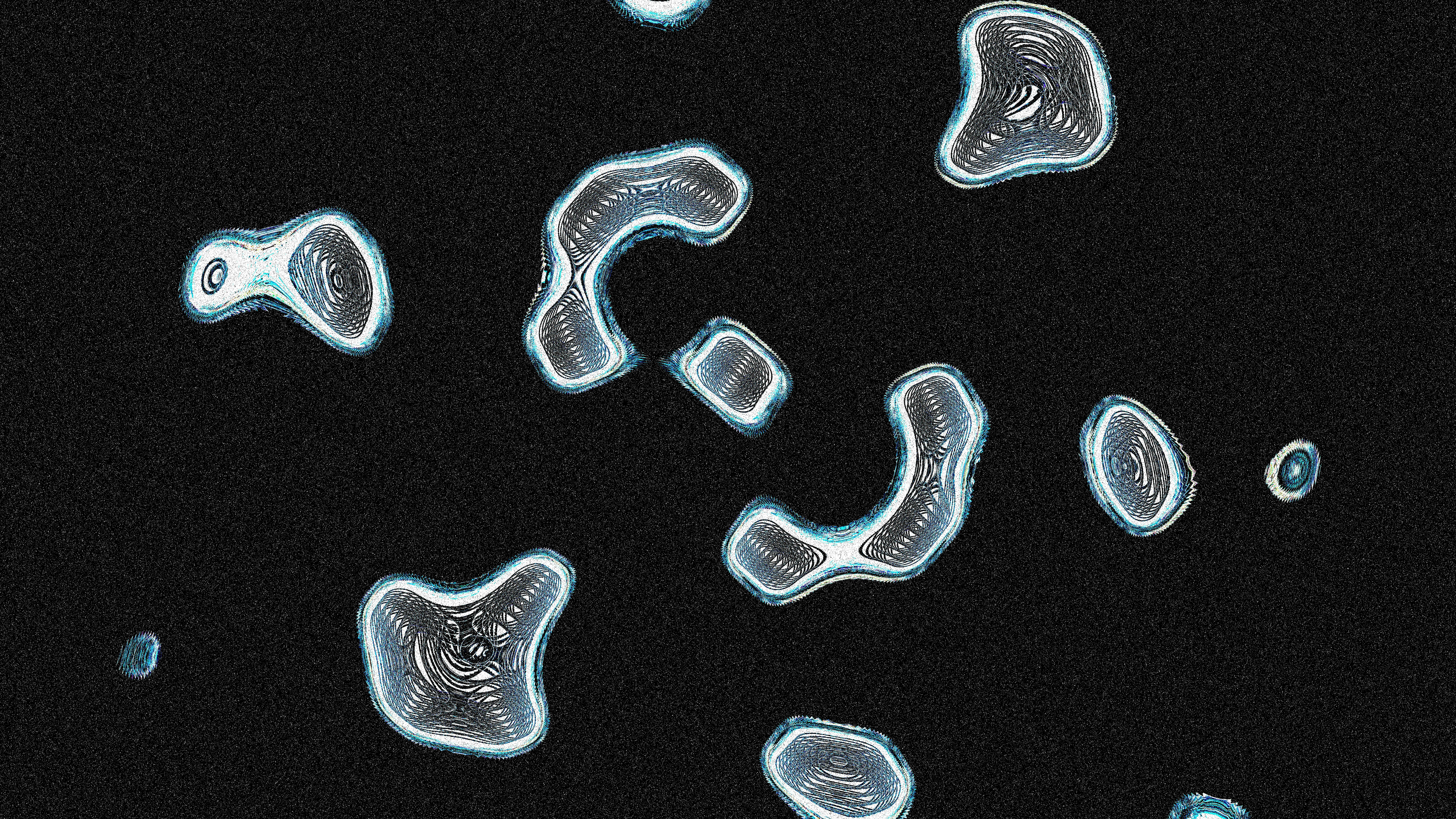 The Role of Oxalobacter formigenes in Oxalate Breakdown: 7 Expert