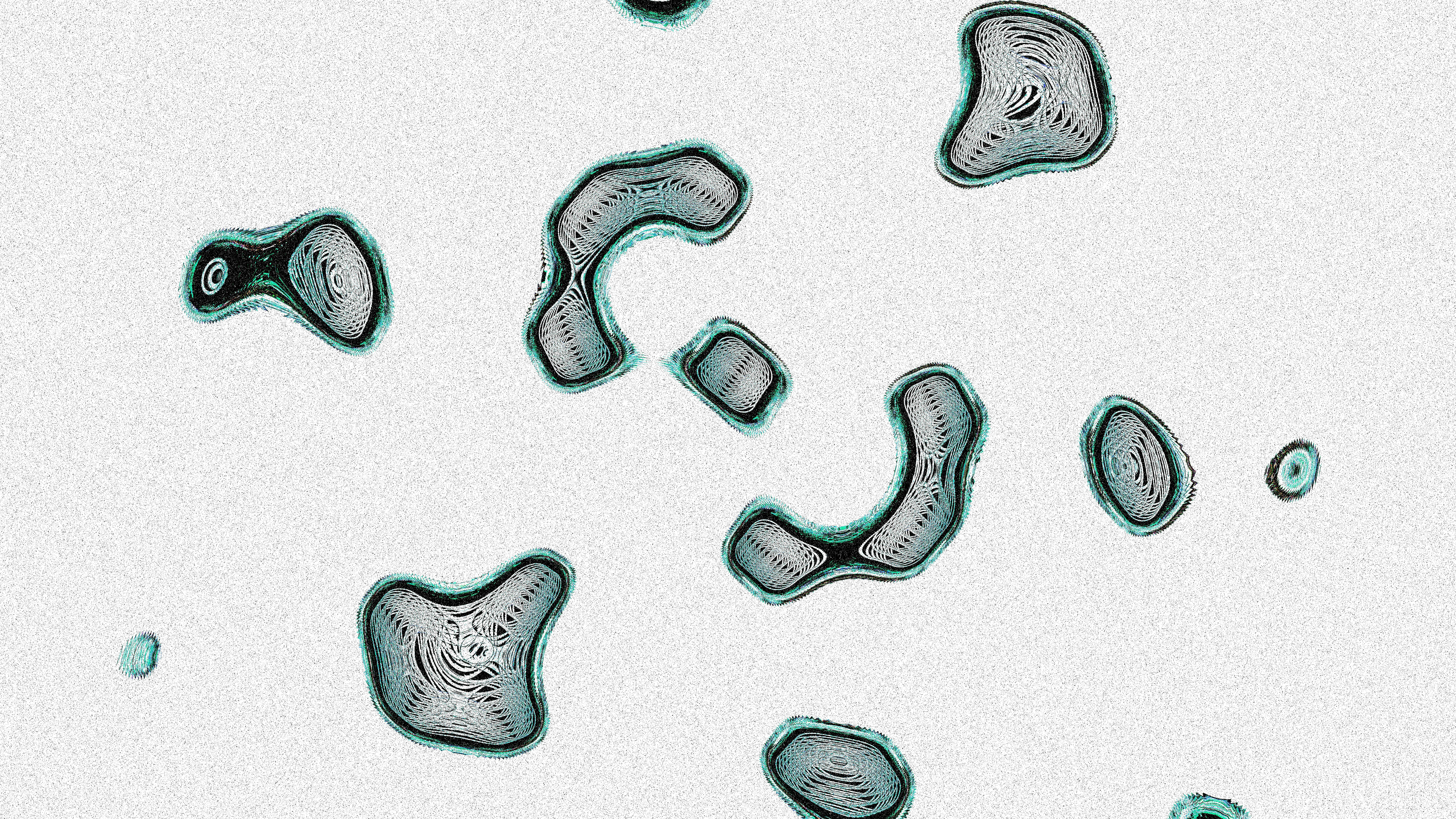 Microscopic view of an amoeba