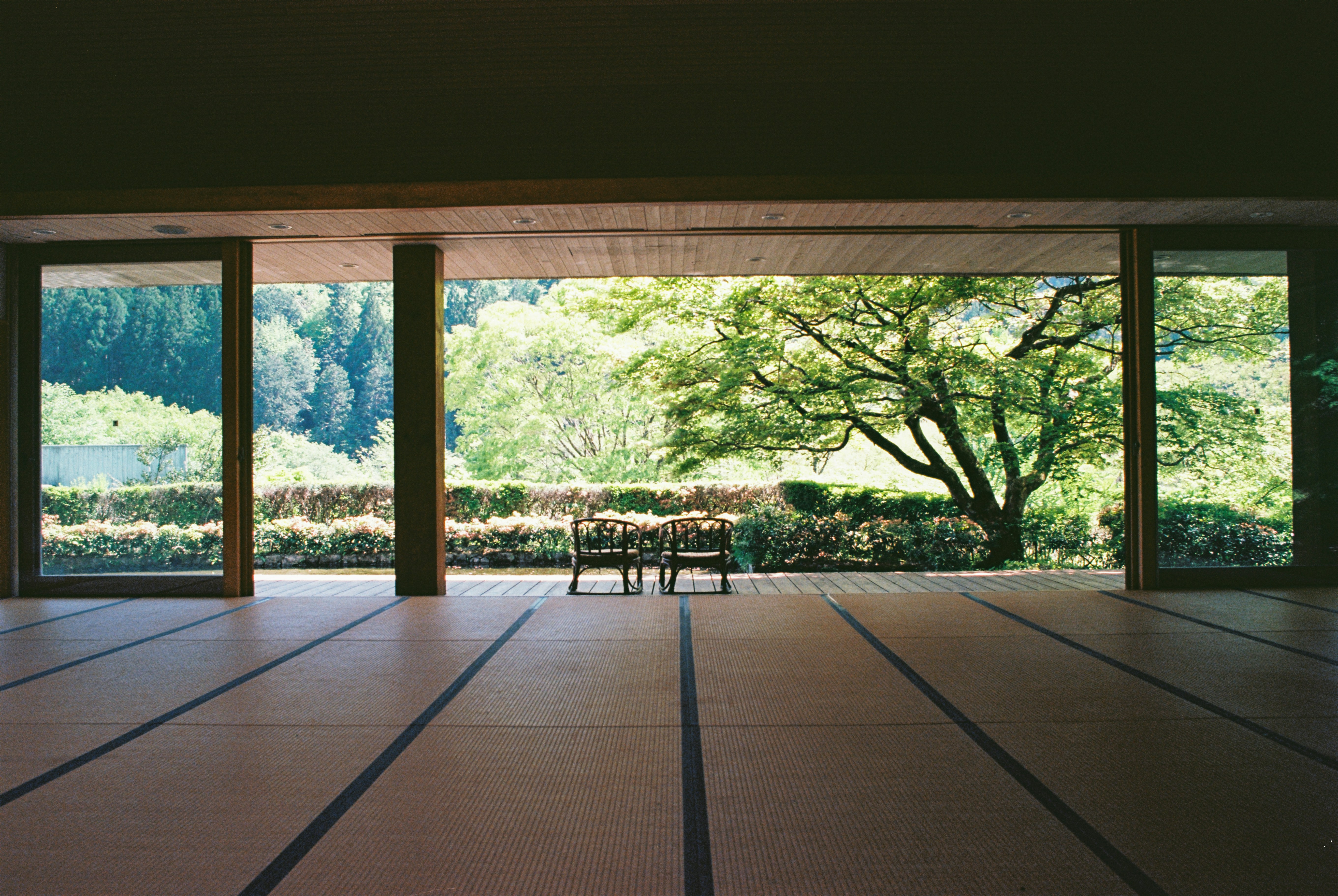 An open room offers a view of nature.
