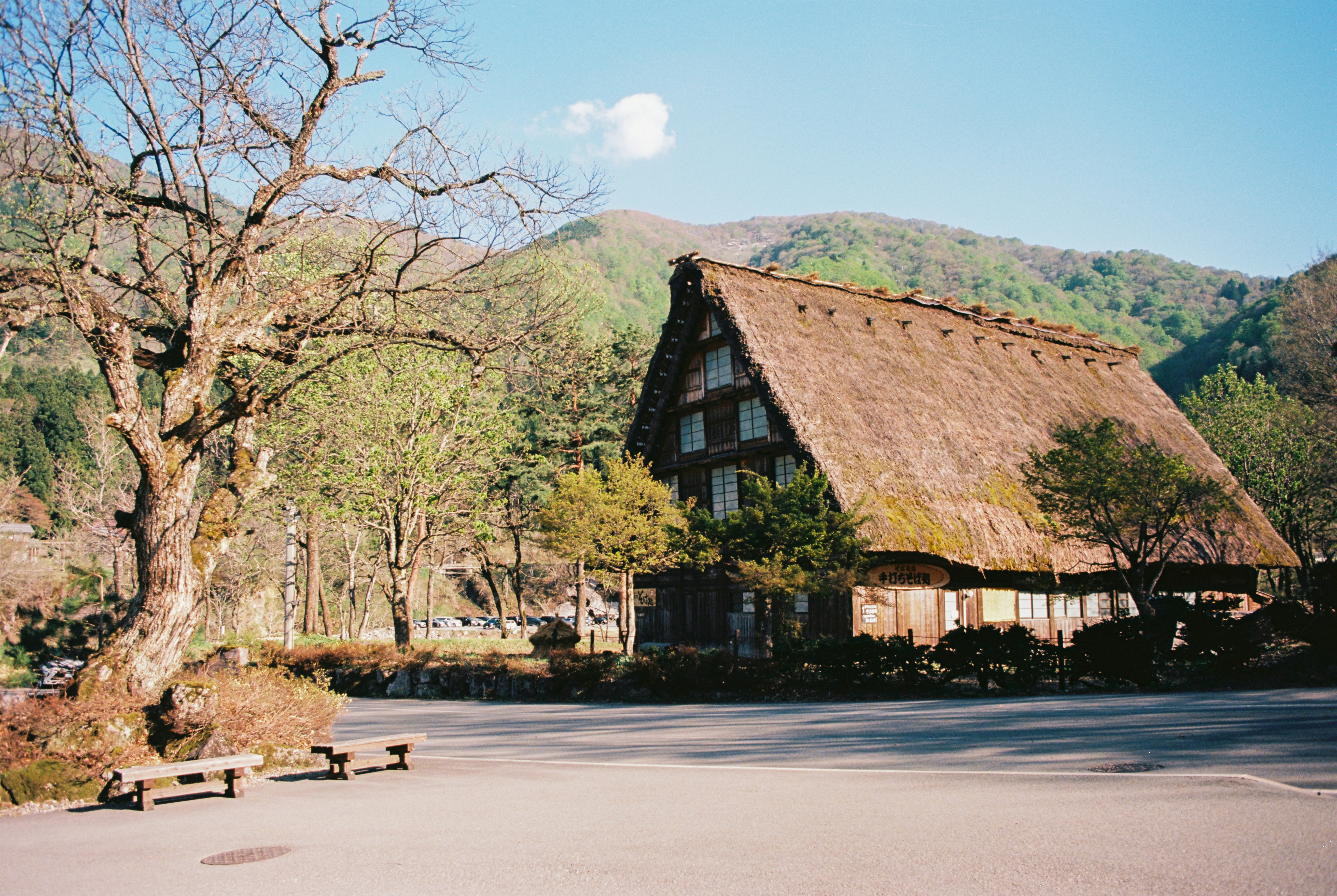 A traditional japanese house is seen in nature.