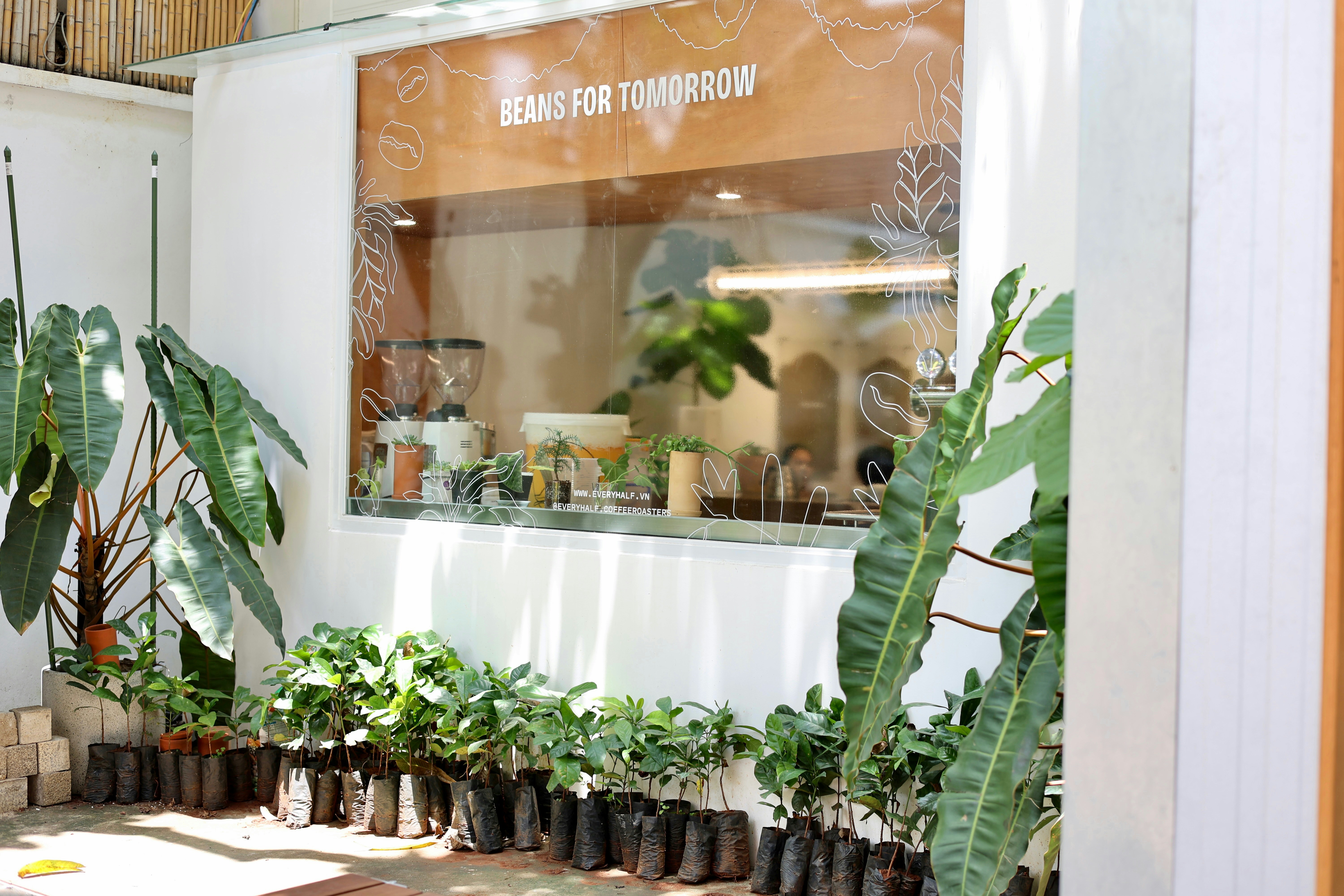 Luxury plant boutique
