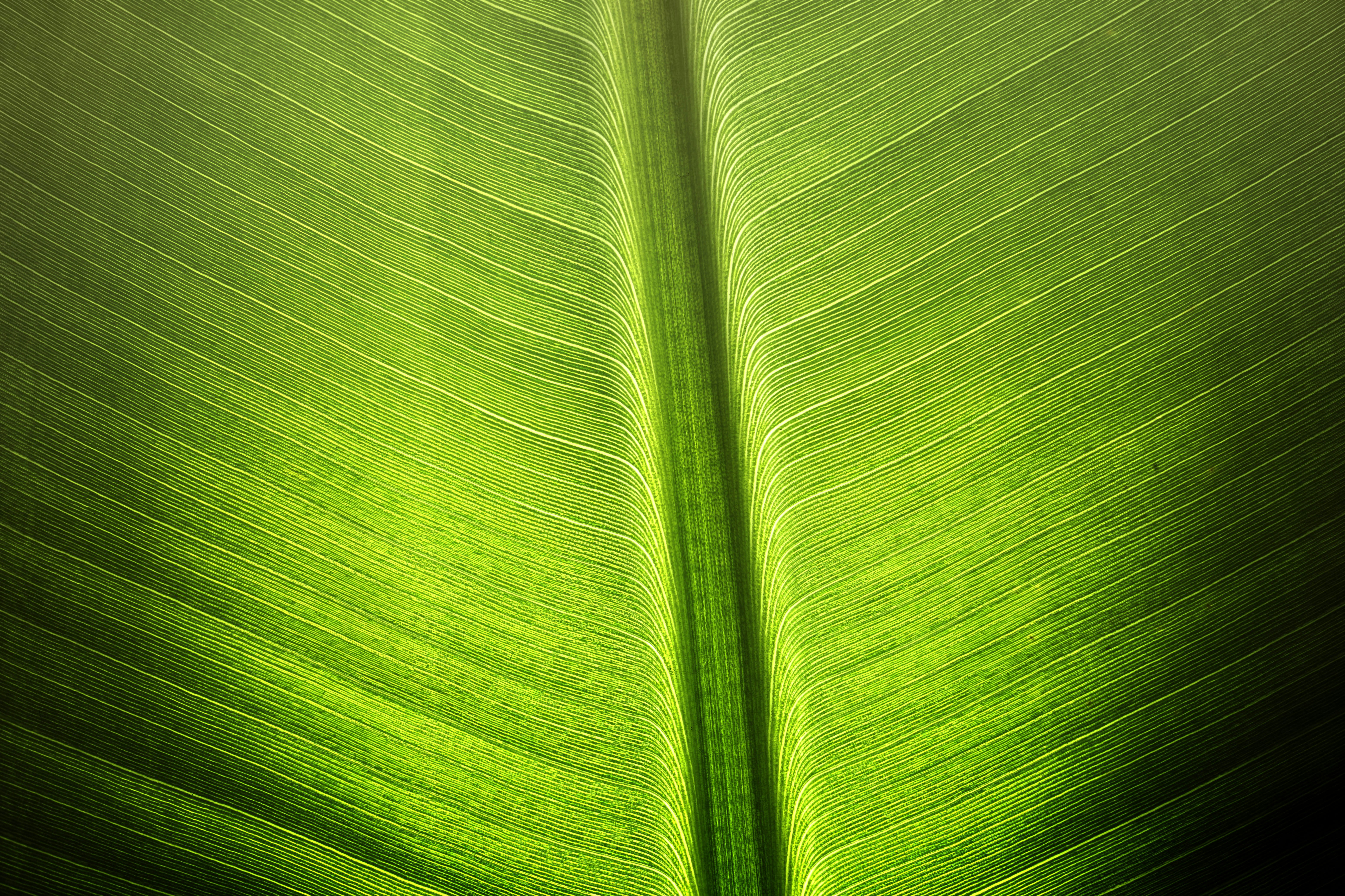 Photo by on_earth_in_space