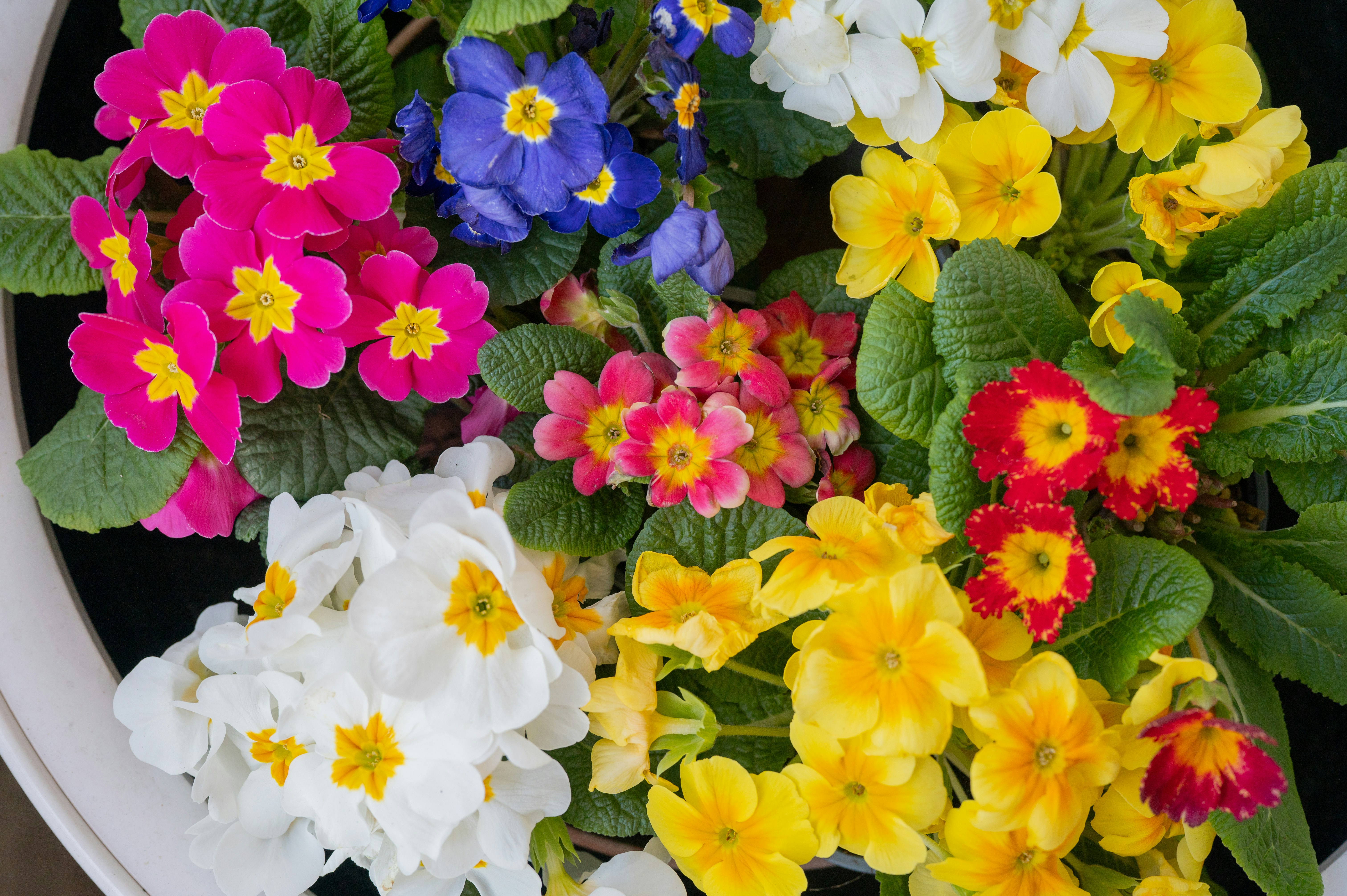 Photo by melanieweidmann_photography