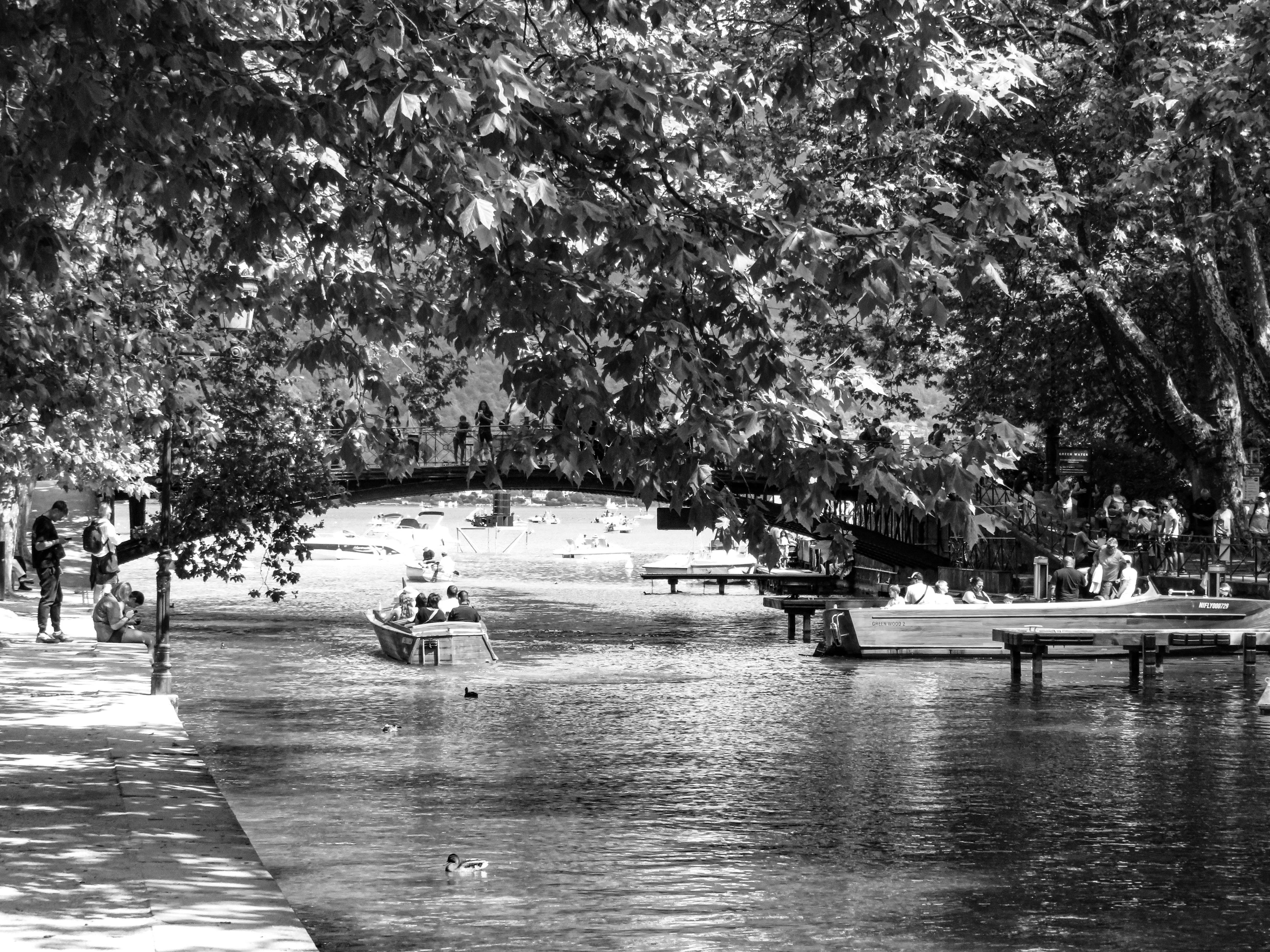 Photo by jgcachafeiro