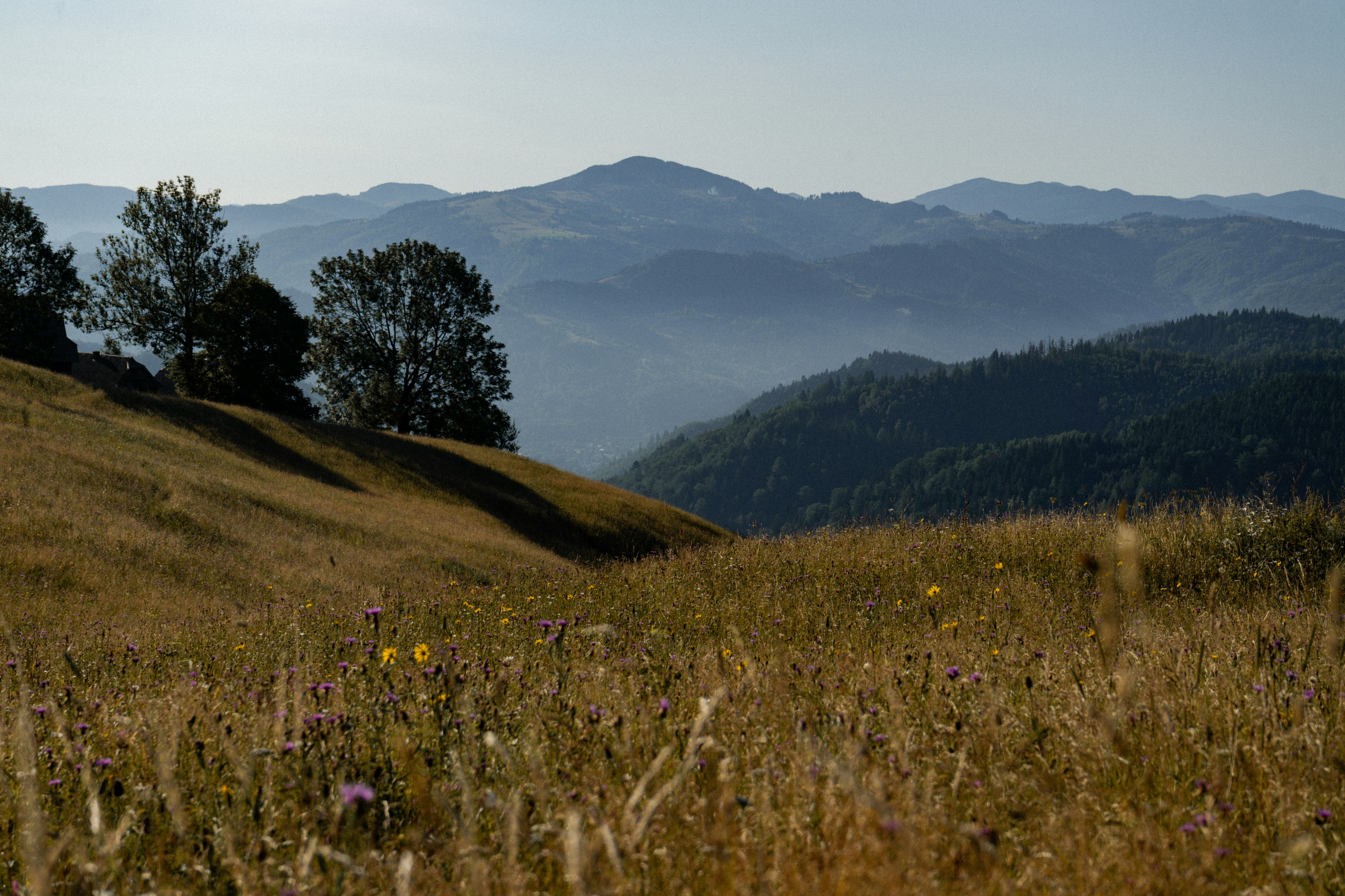 Photo by khrystyna_vatsyk