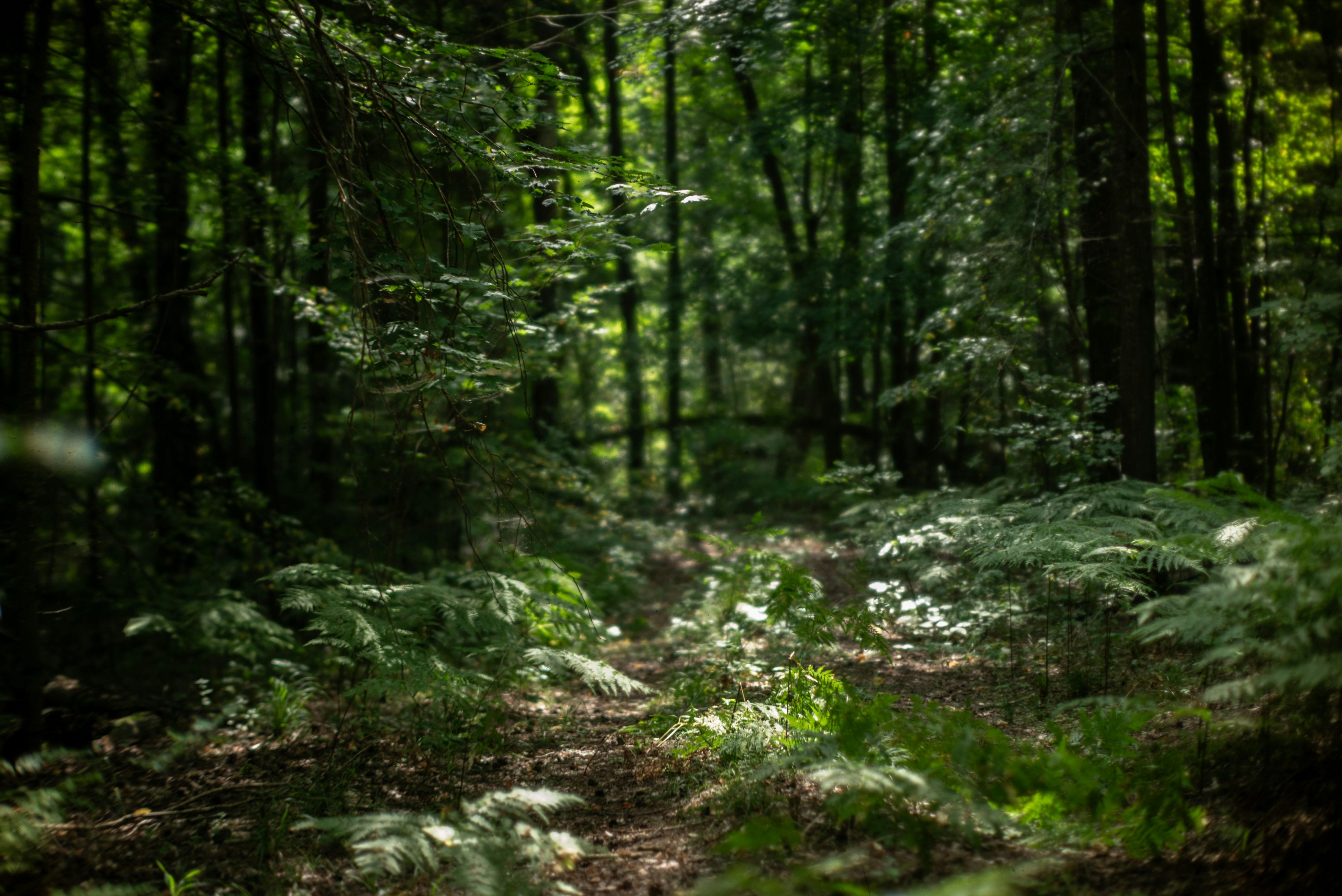 Photo by andrilliardbond