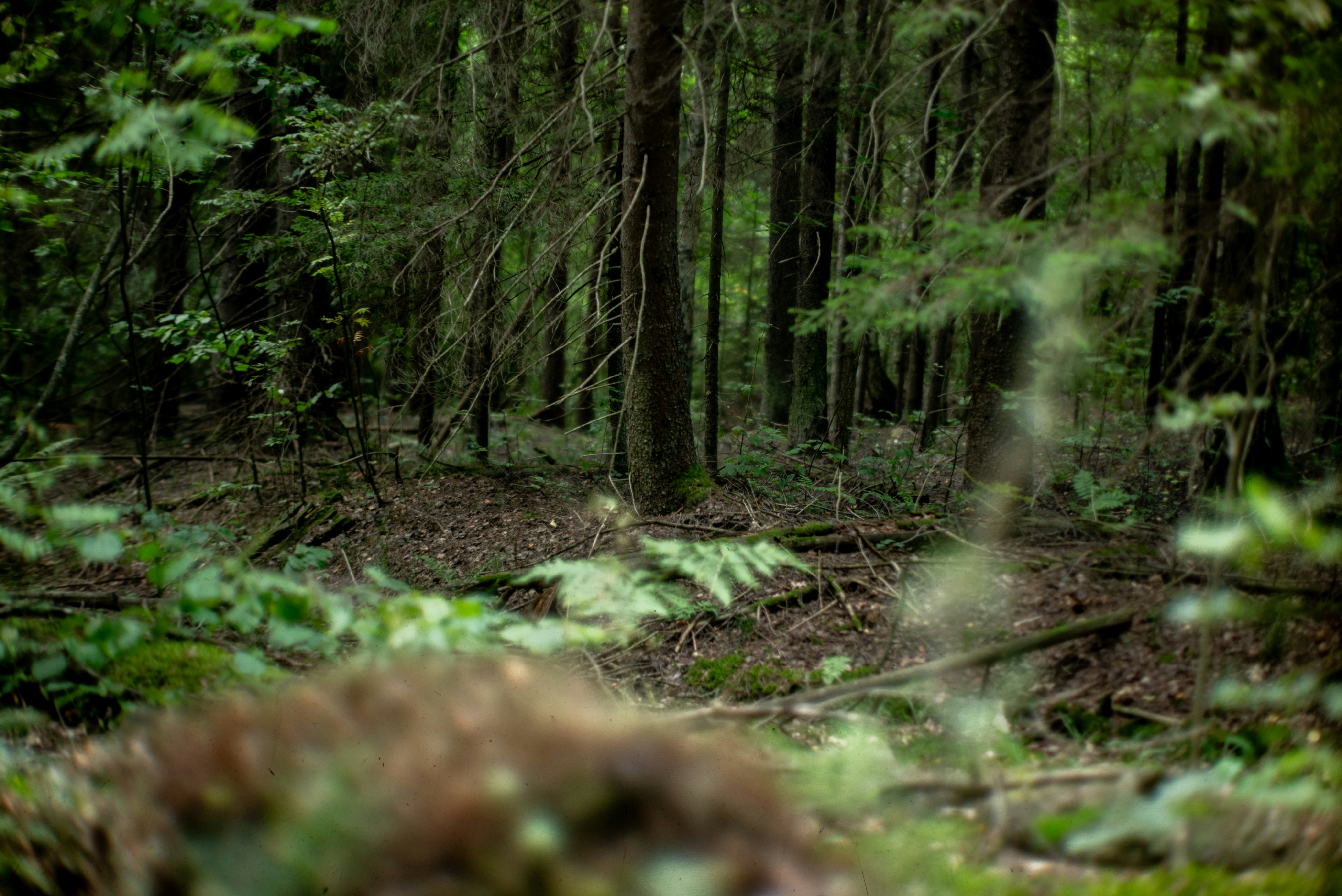 Photo by andrilliardbond