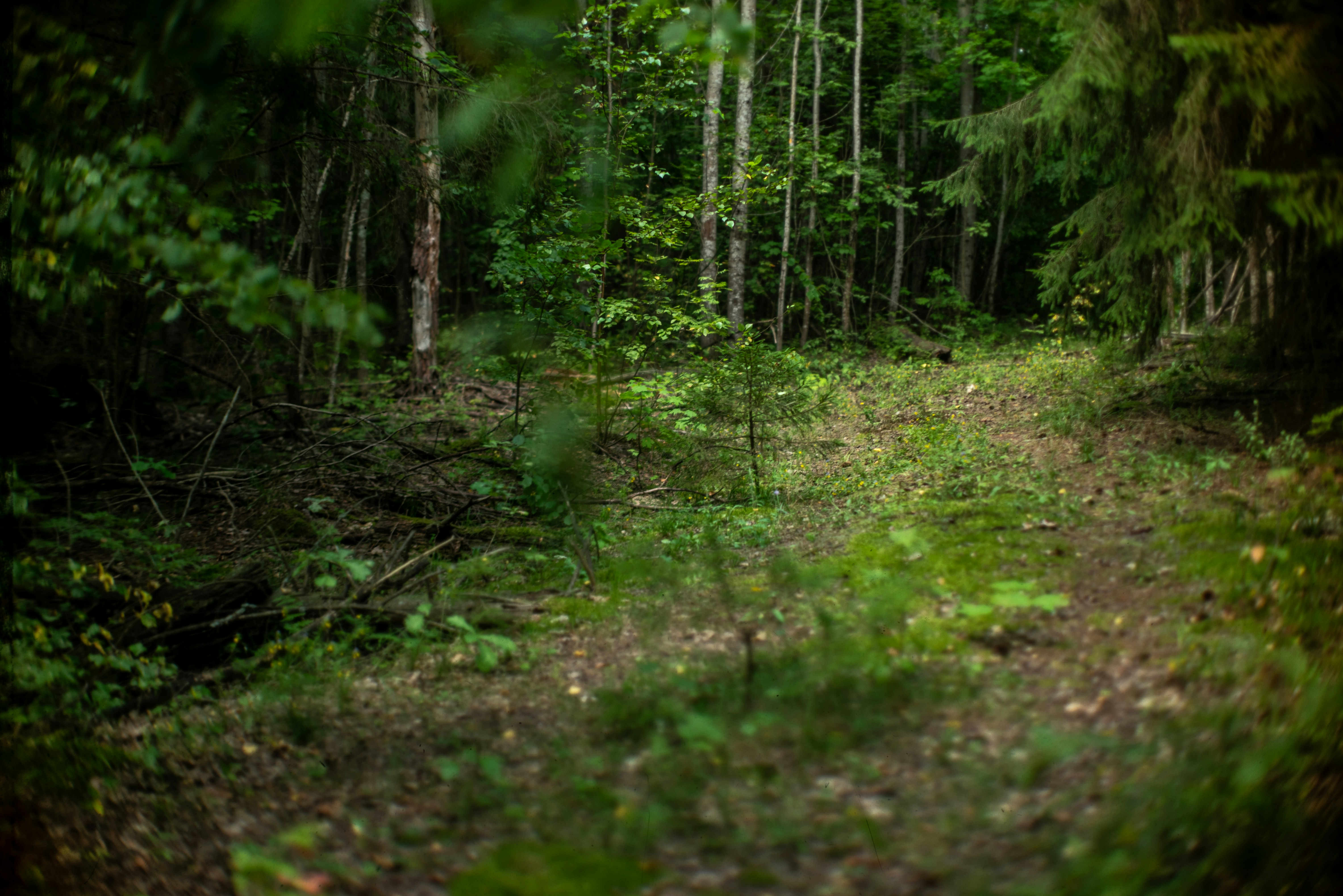 Photo by andrilliardbond