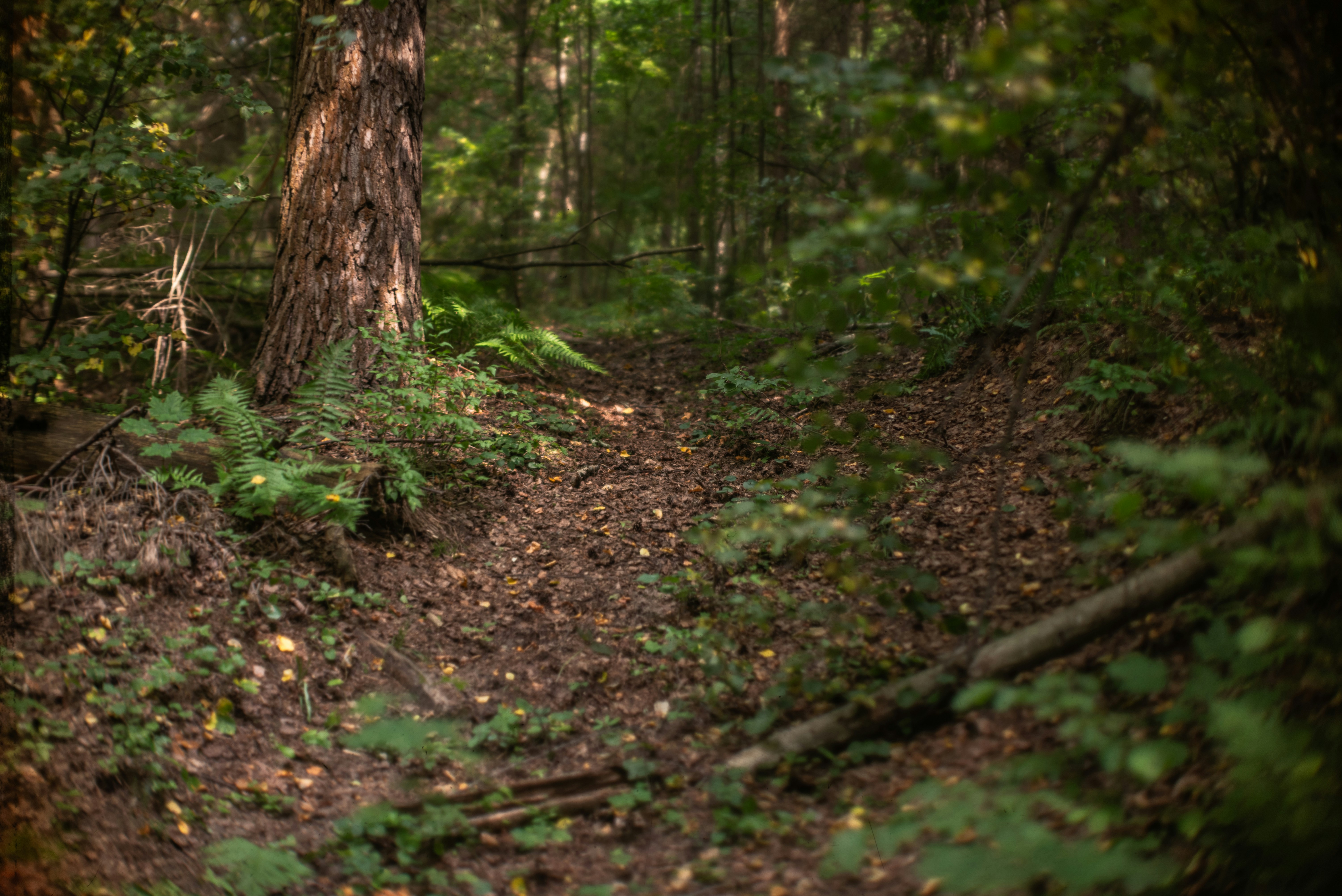 Photo by andrilliardbond