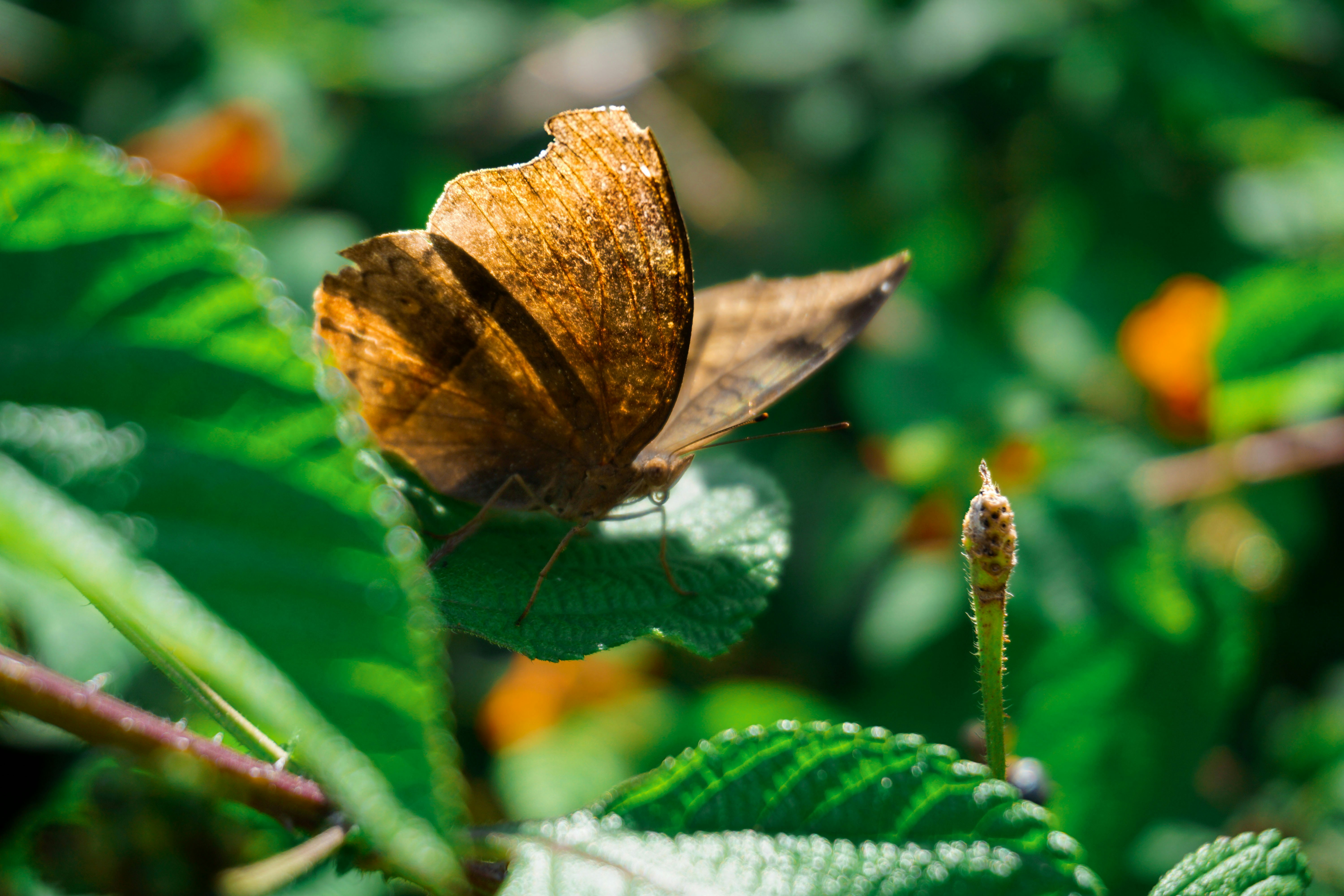 Photo by chulbulpande_jiiii