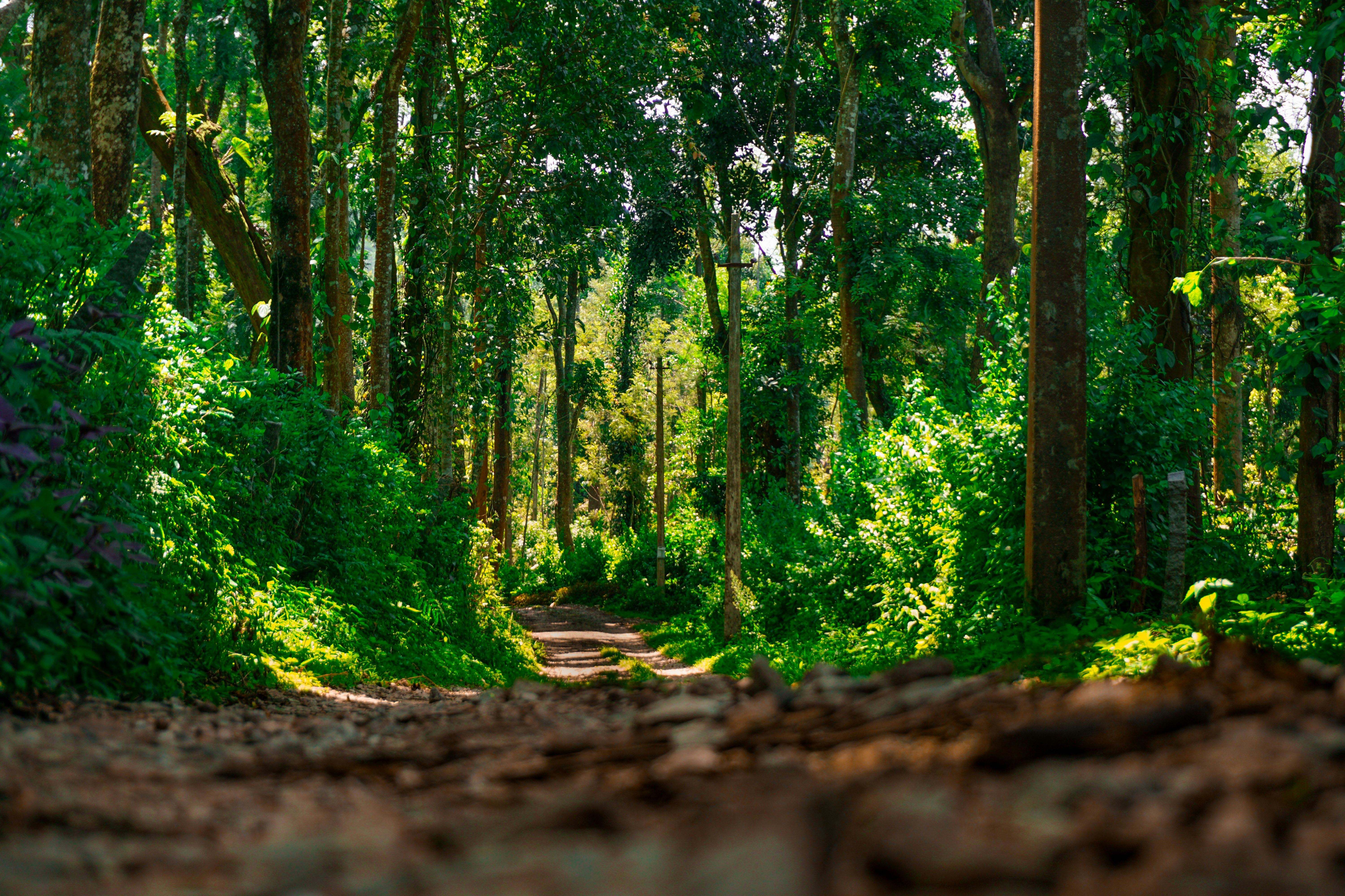 Photo by chulbulpande_jiiii