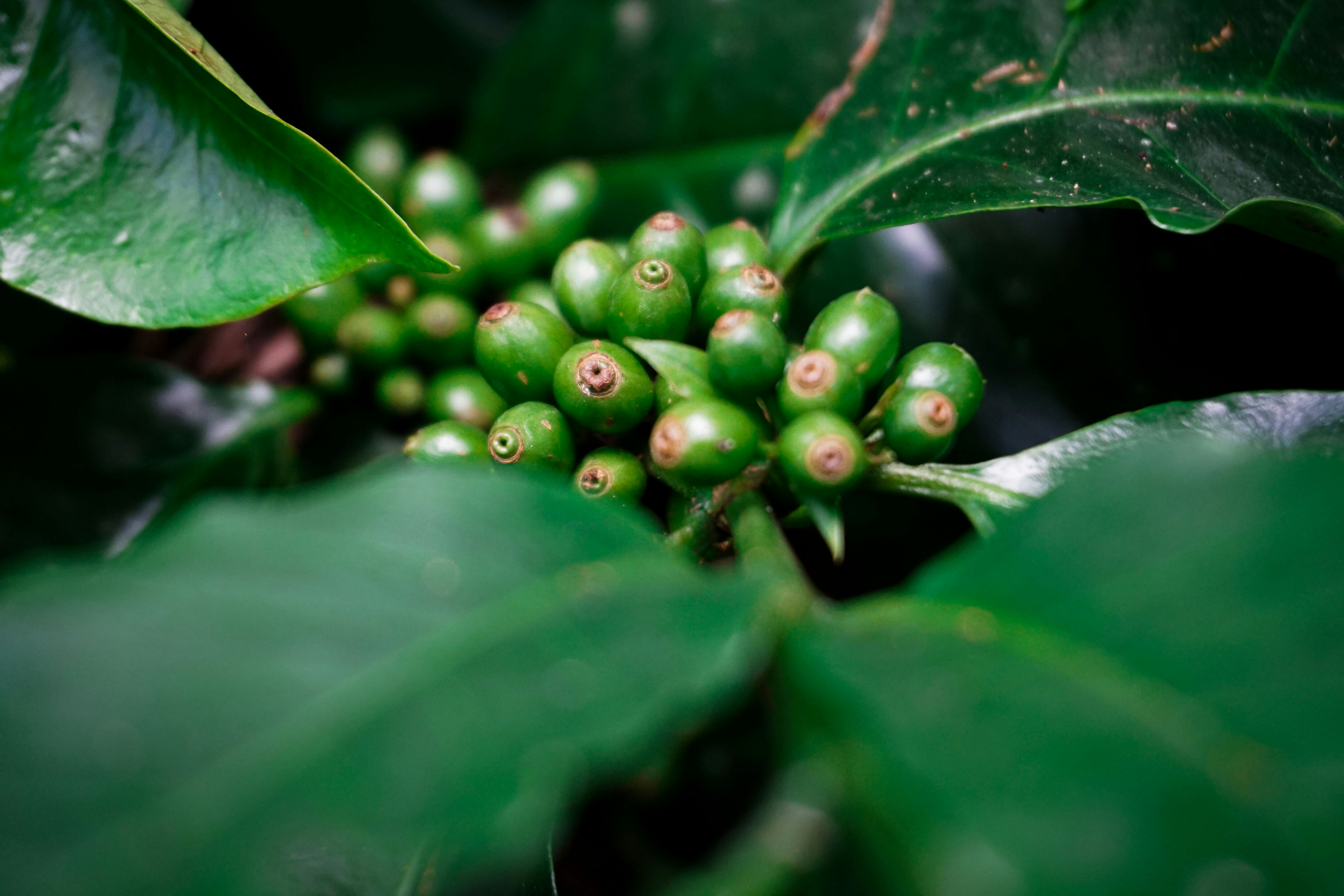 Photo by chulbulpande_jiiii