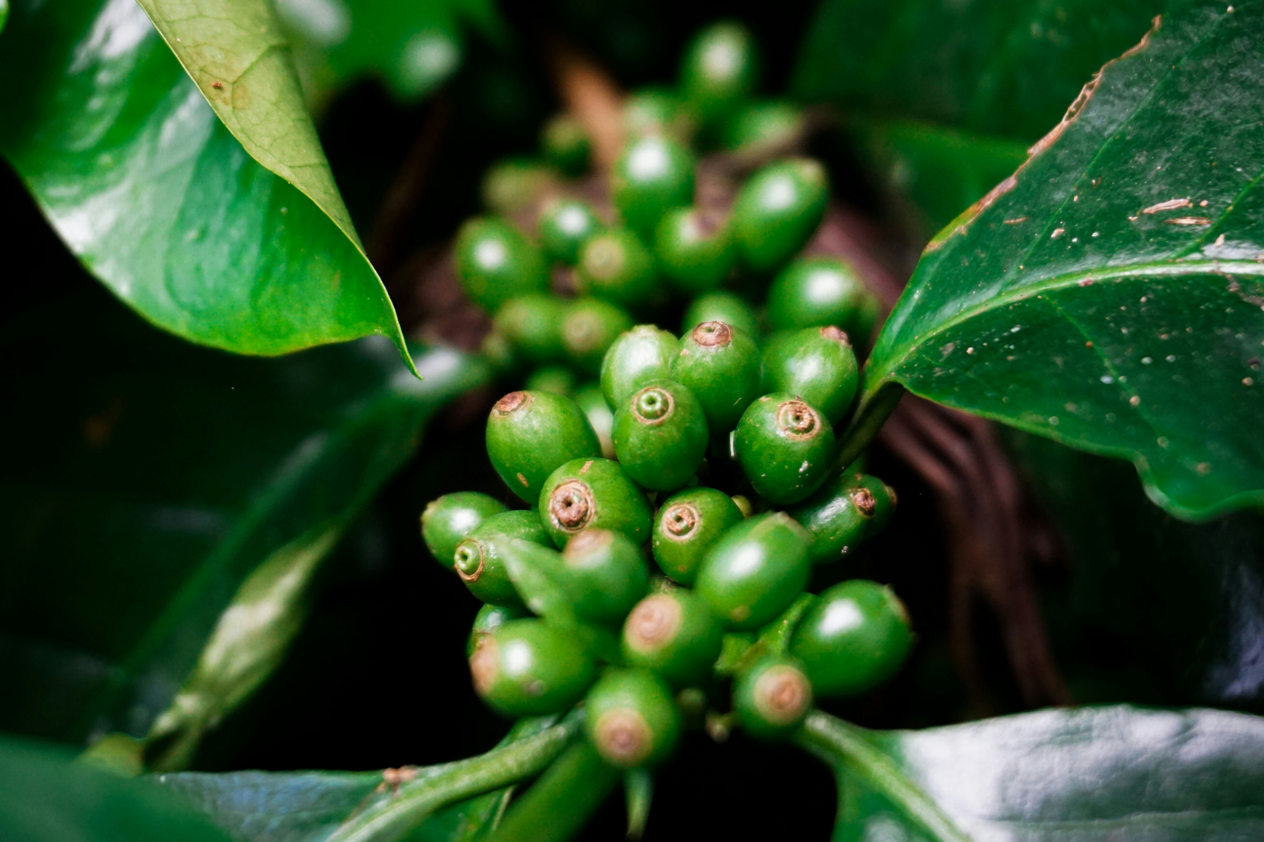 Photo by chulbulpande_jiiii