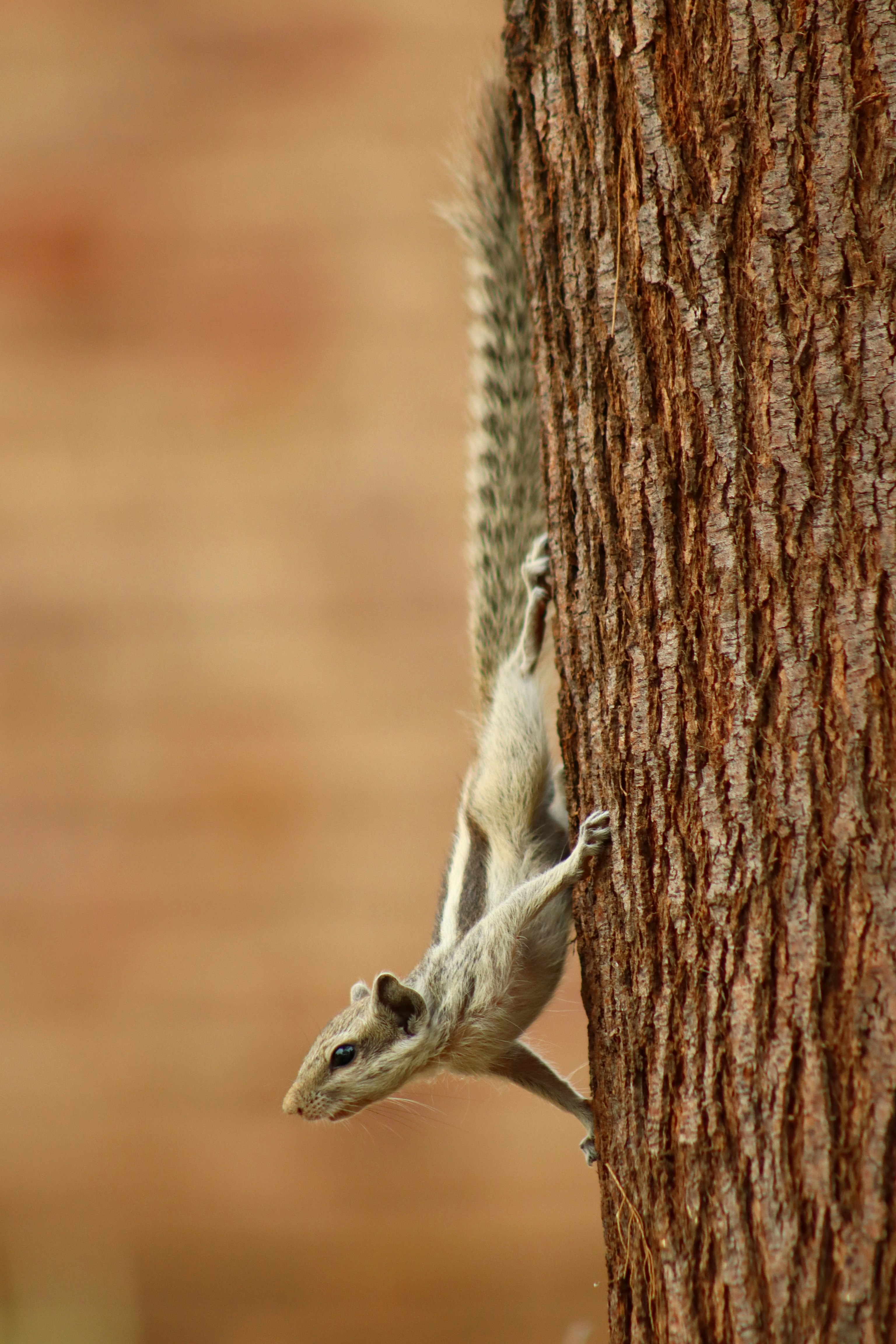 Photo by drphotographer152