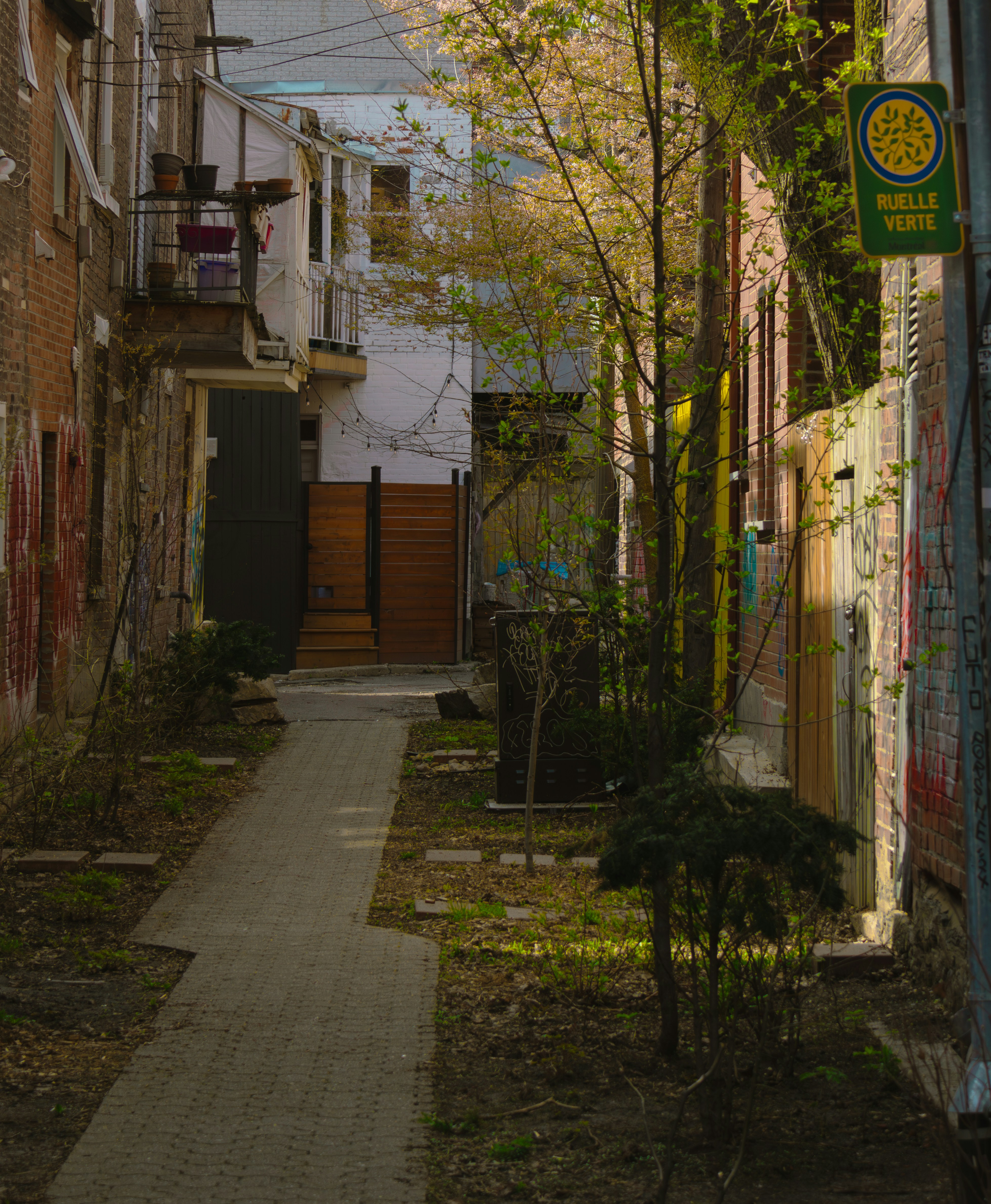 Photo by abdelkader1001