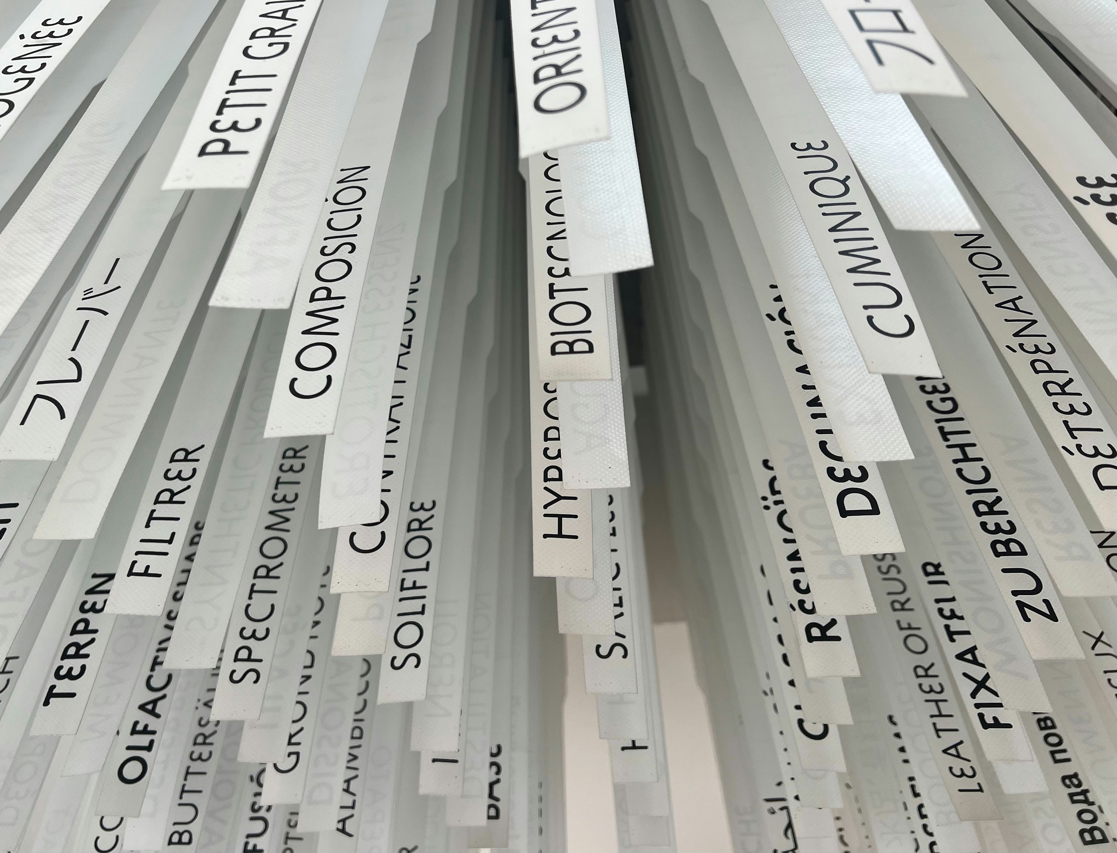 Hanging labels feature various words and phrases.