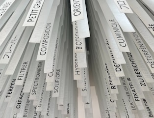 Hanging labels feature various words and phrases.