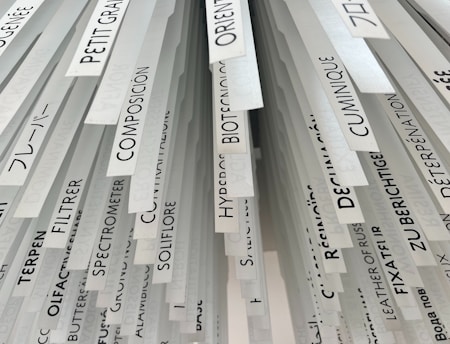 Hanging labels feature various words and phrases.
