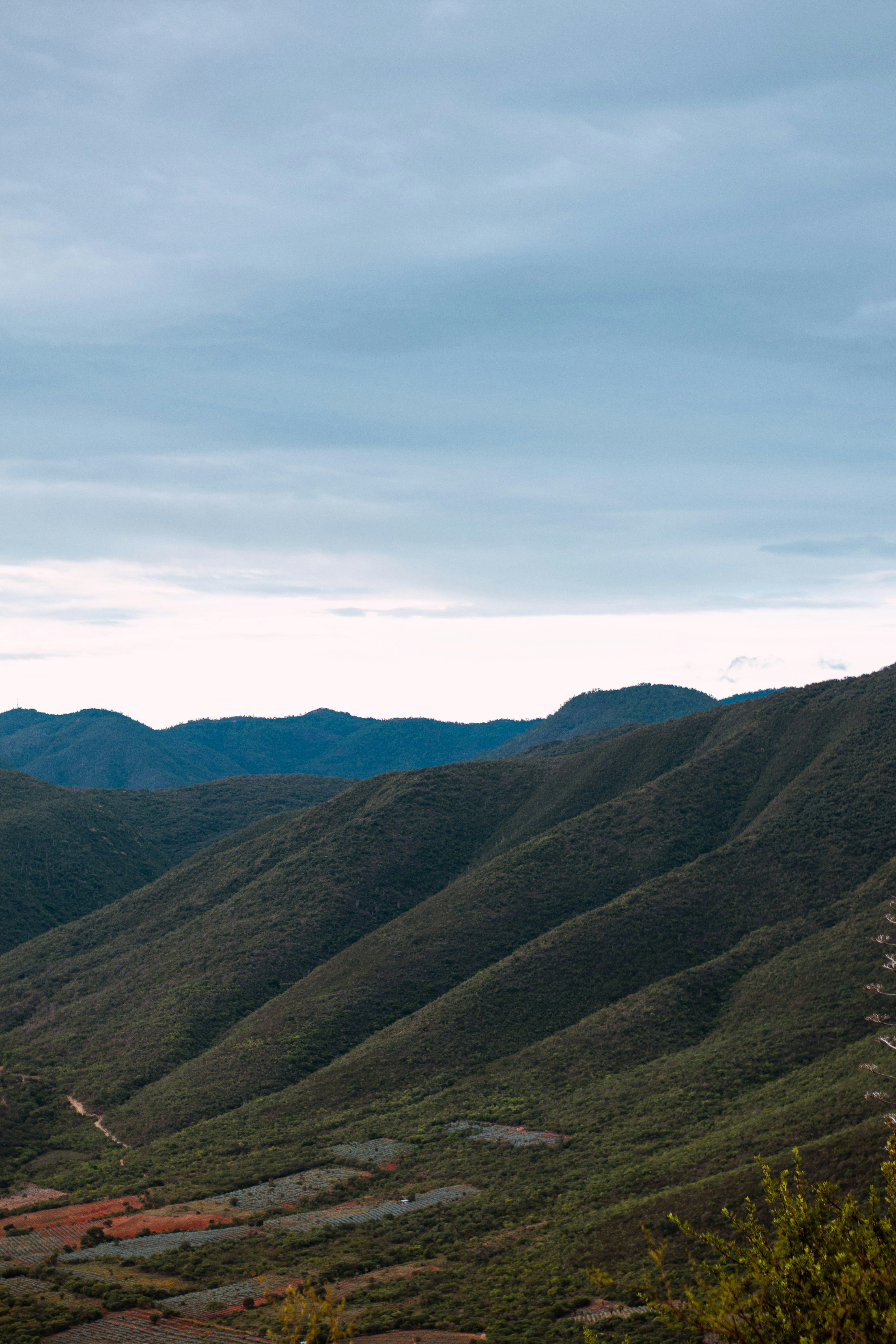 Photo by cesaroneill