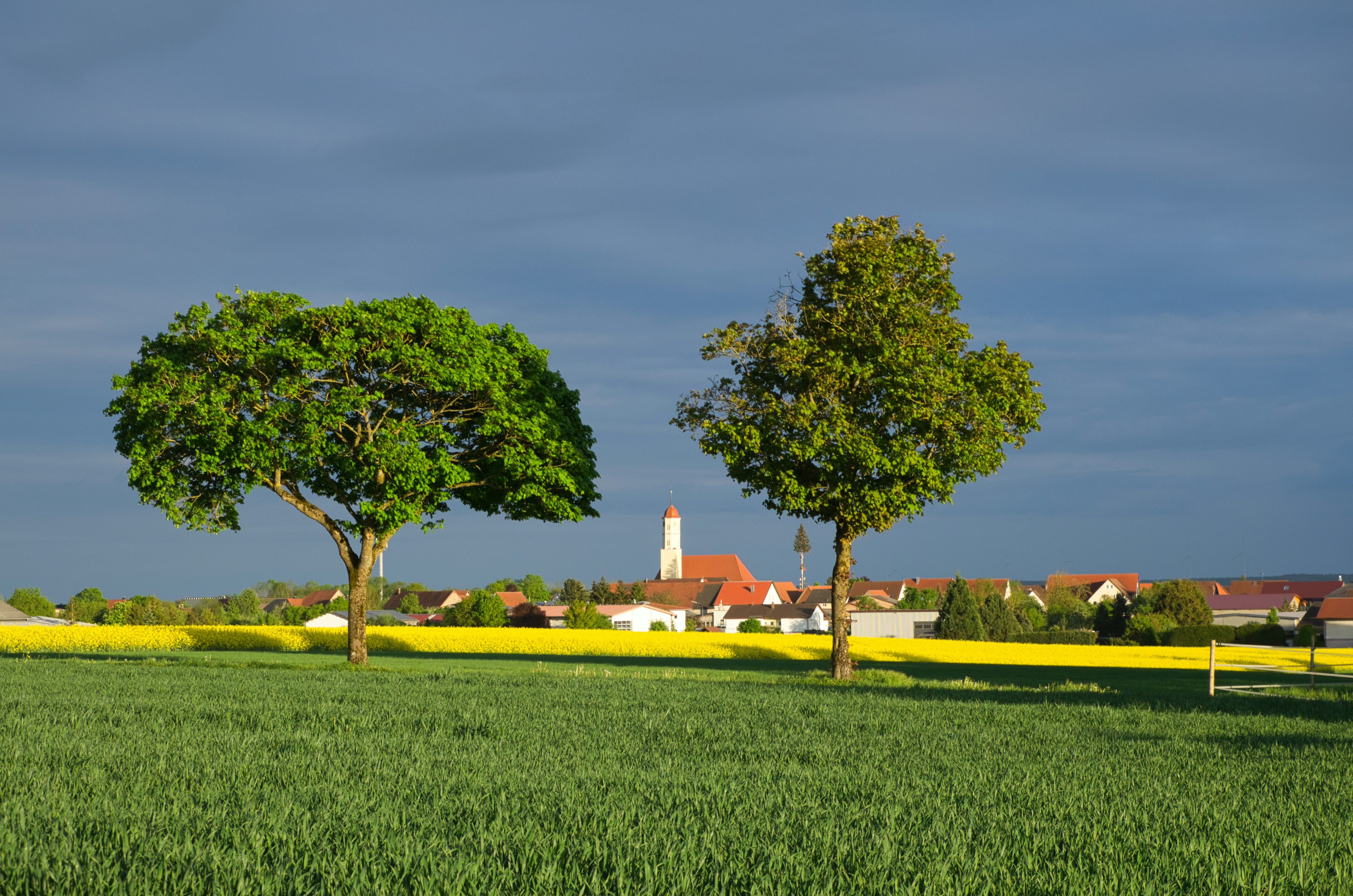The village of Elchingen appears nestled among trees and fields. A church tower rises gently in the center.