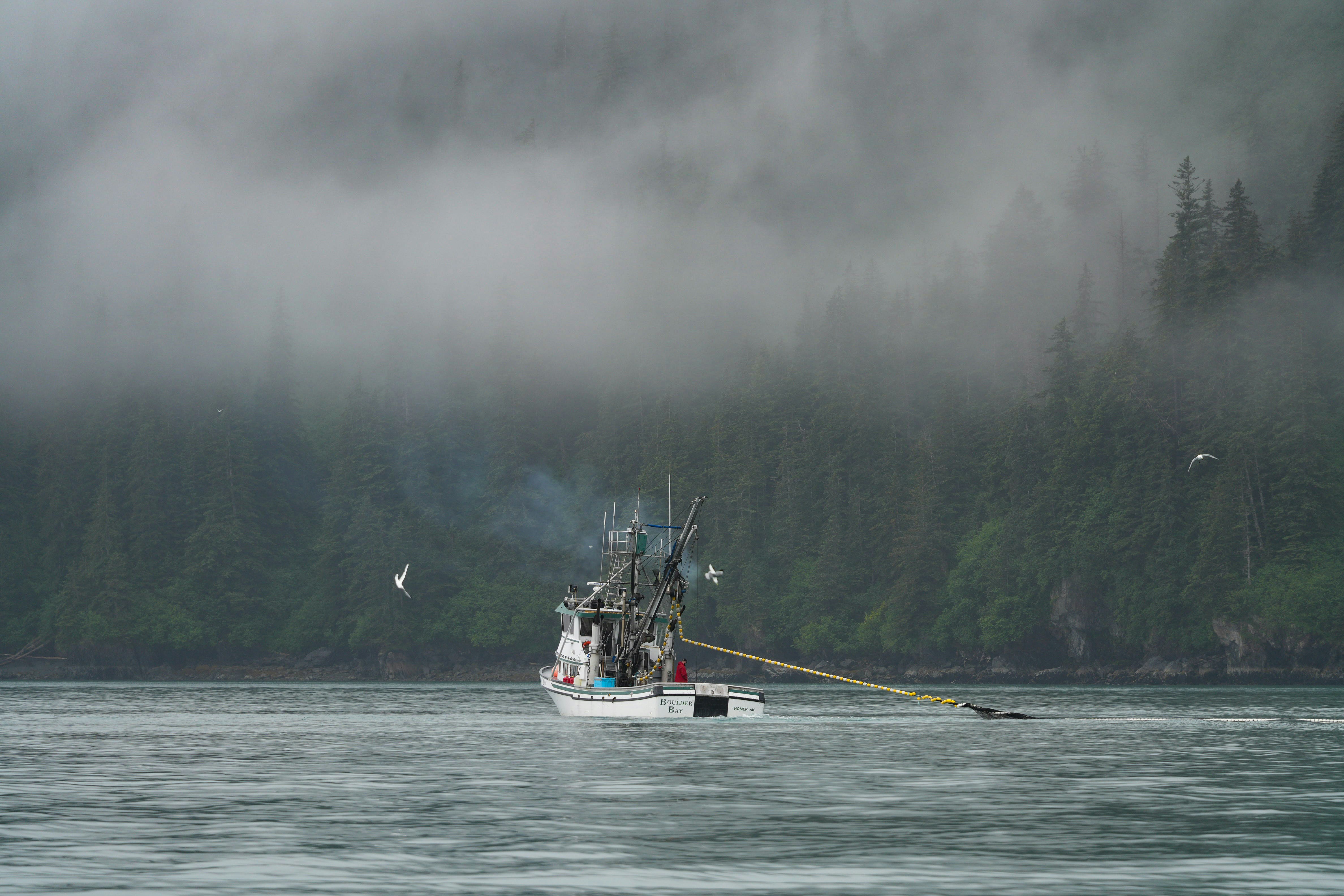 A fishing boat sails through a misty, foggy bay.