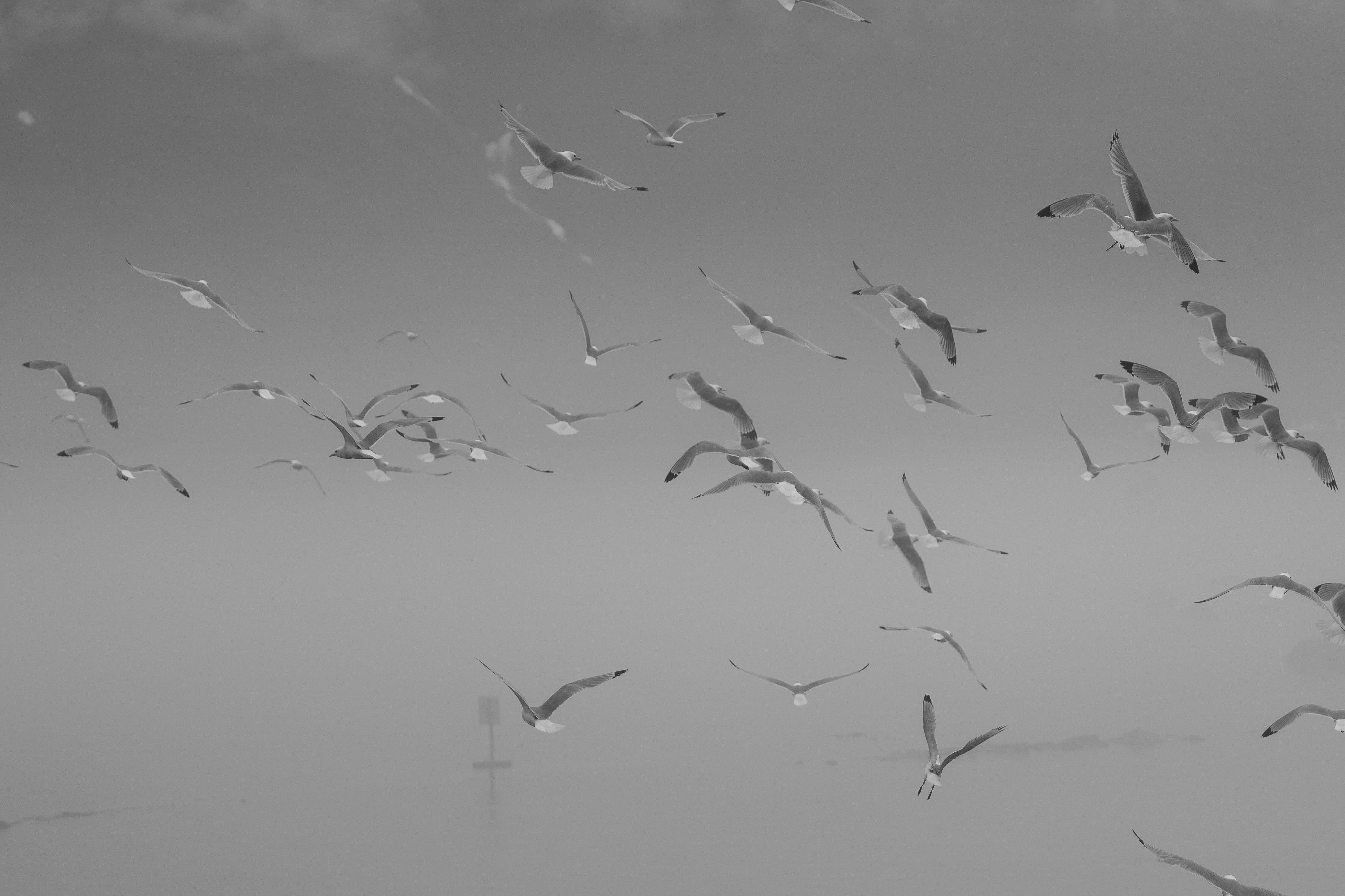 Photo by frankynevermore