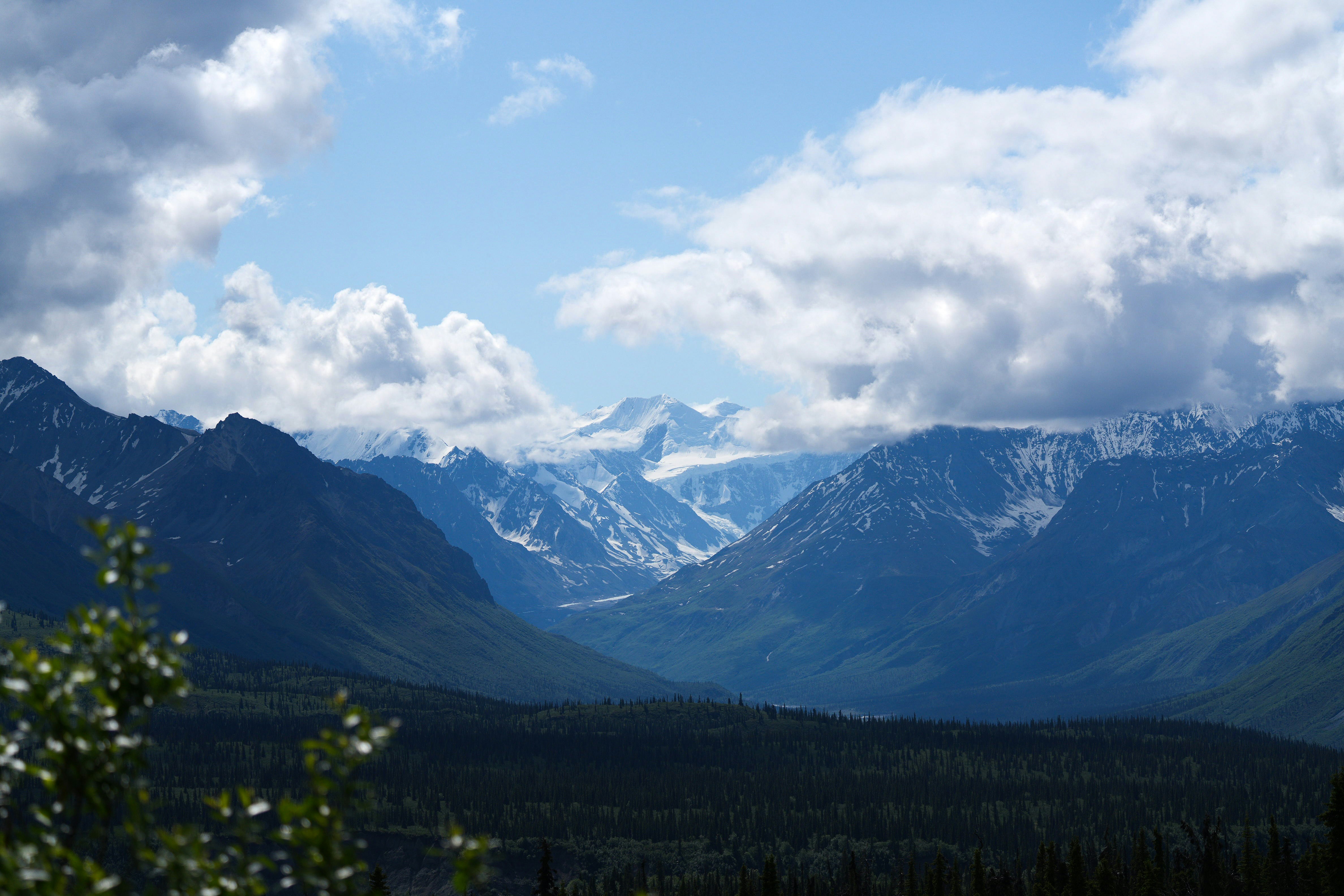 Photo by frankynevermore