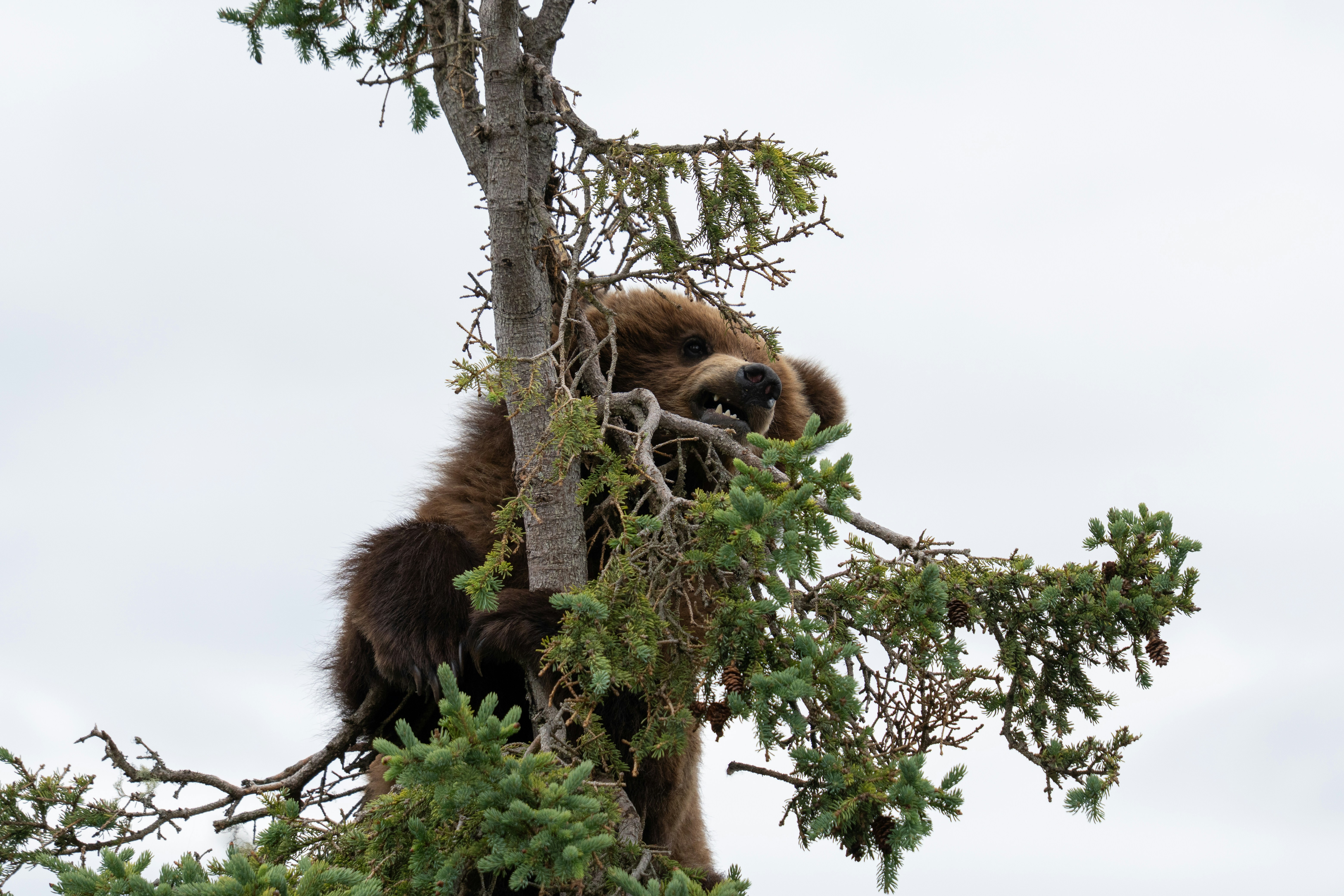 Photo by frankynevermore