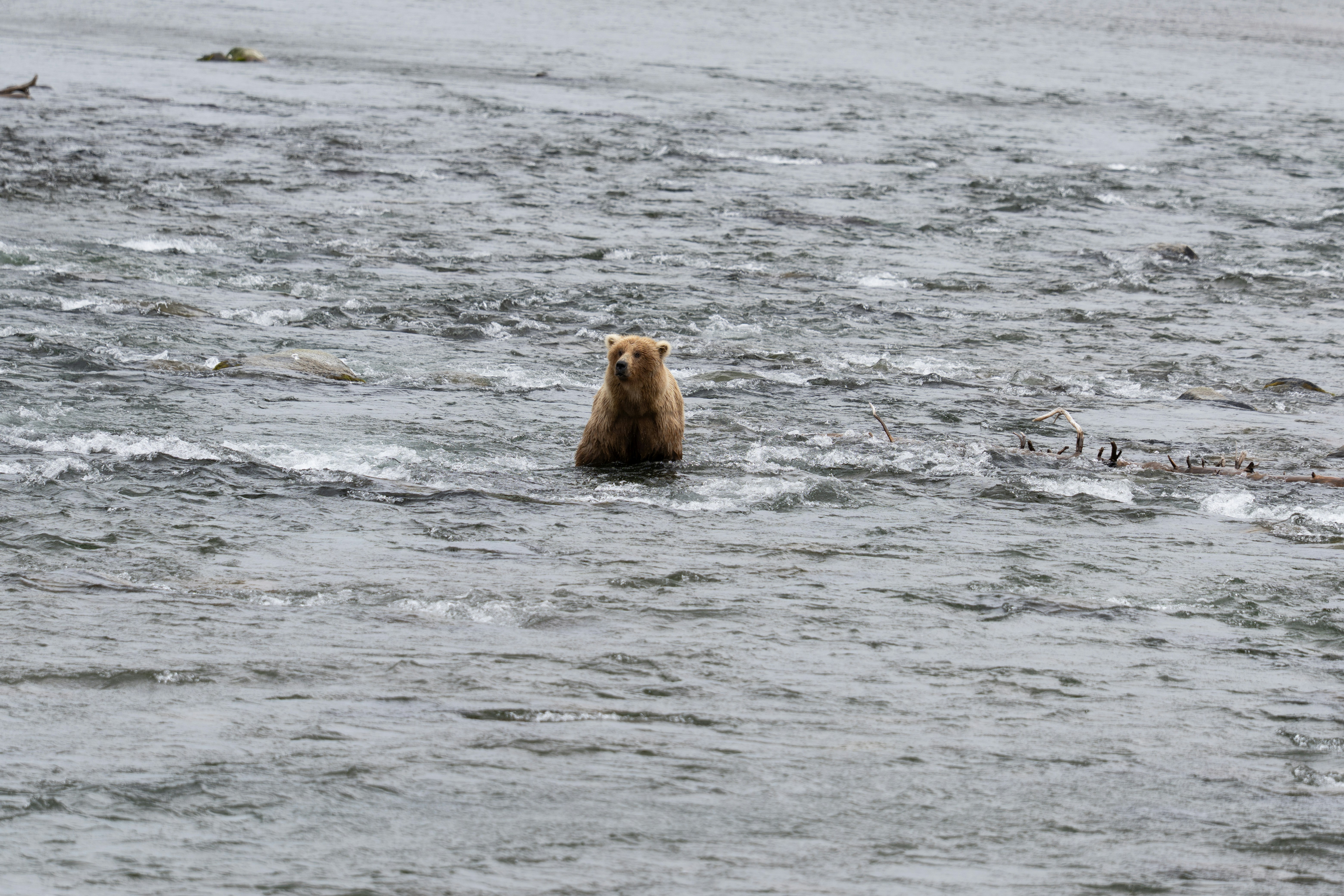 Photo by frankynevermore