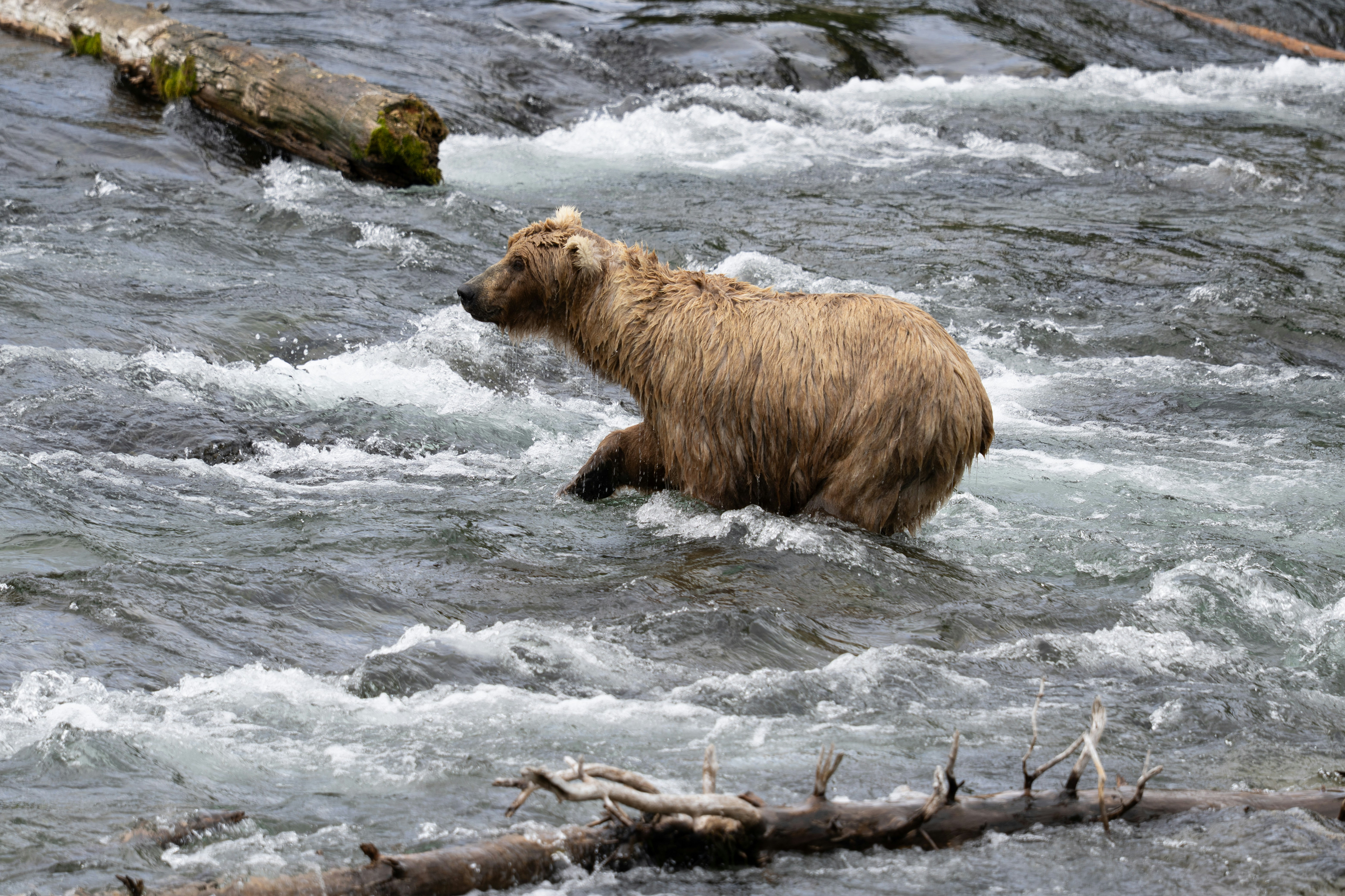 Photo by frankynevermore