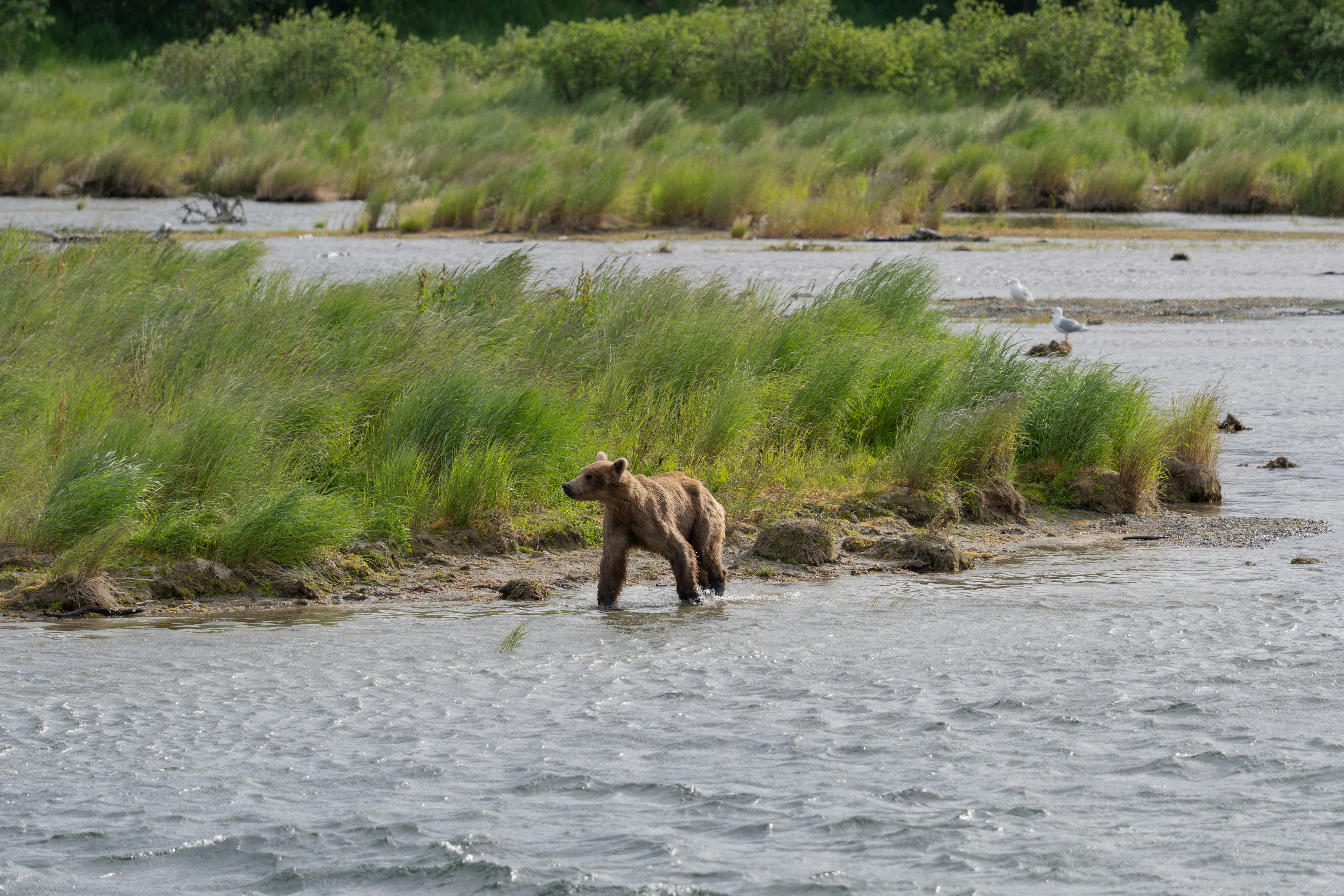 Photo by frankynevermore